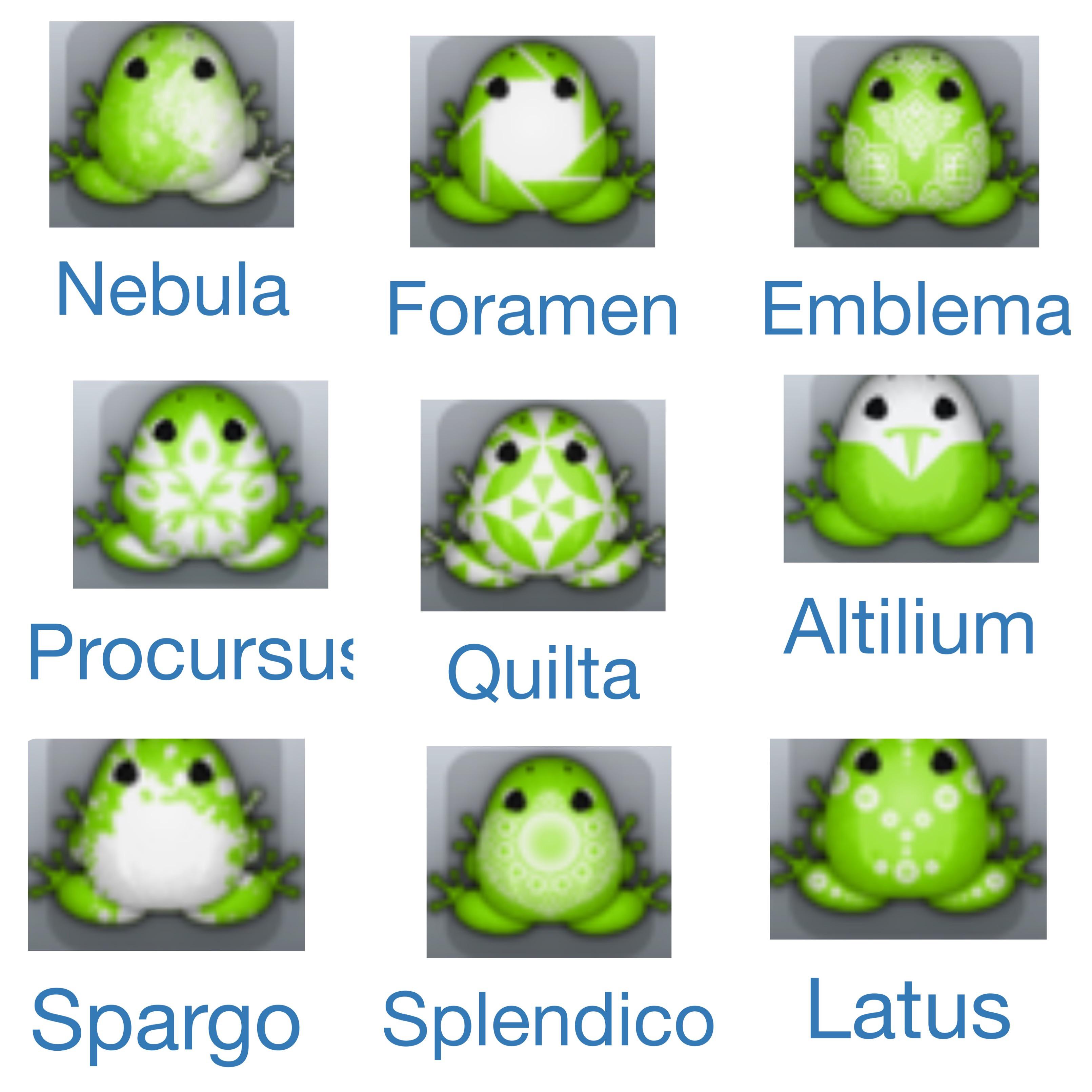 Looking for these last 9 frogs to complete my collection! r/Pocketfrogs