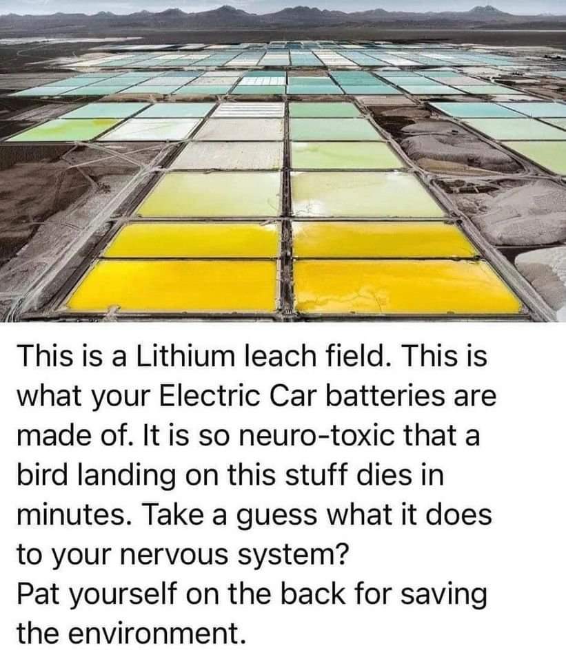 only electric car batteries use lithium. r/TheRightCantMeme