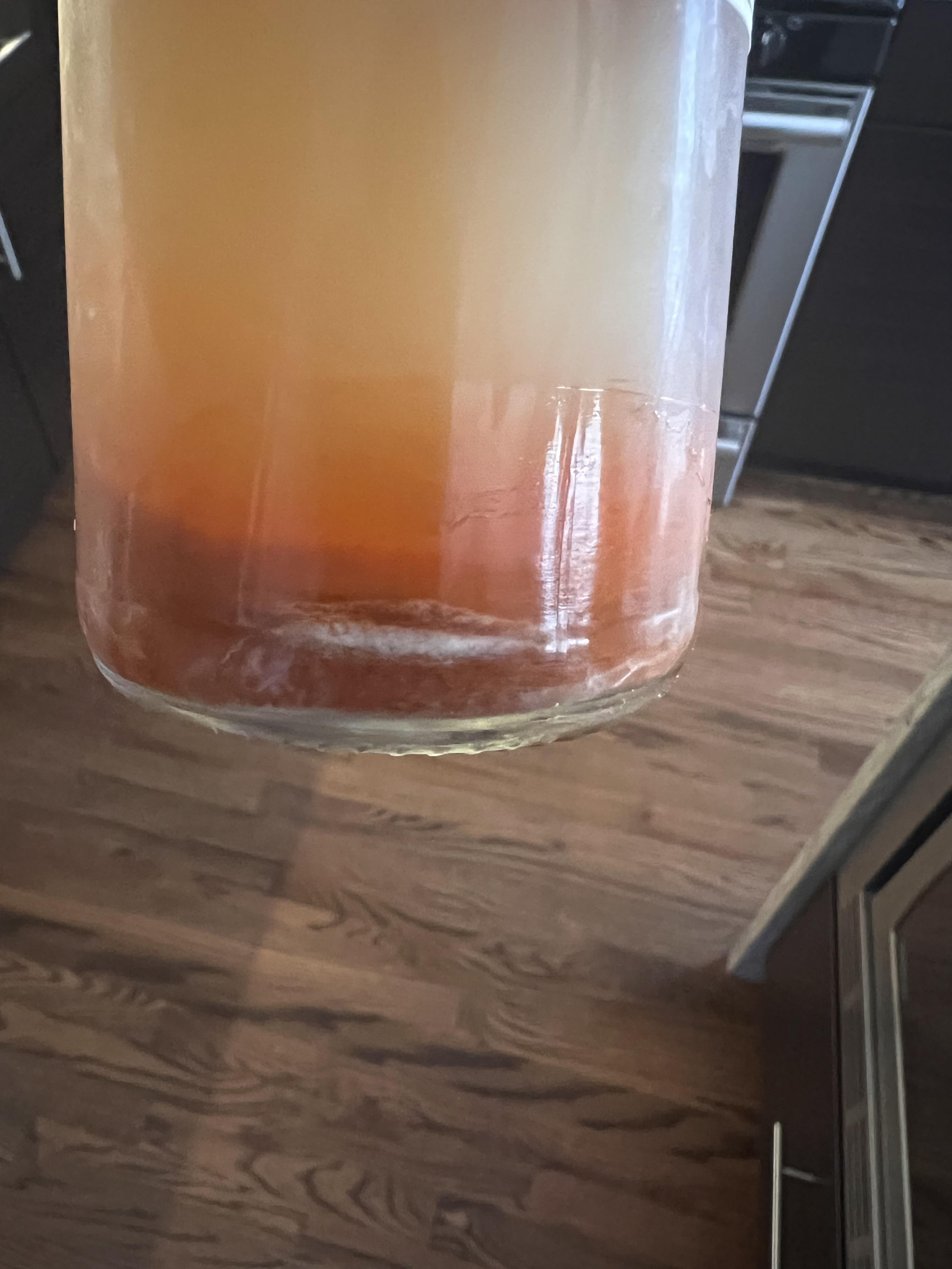 Is this mold growing in my kimchi juice?? r/kimchi