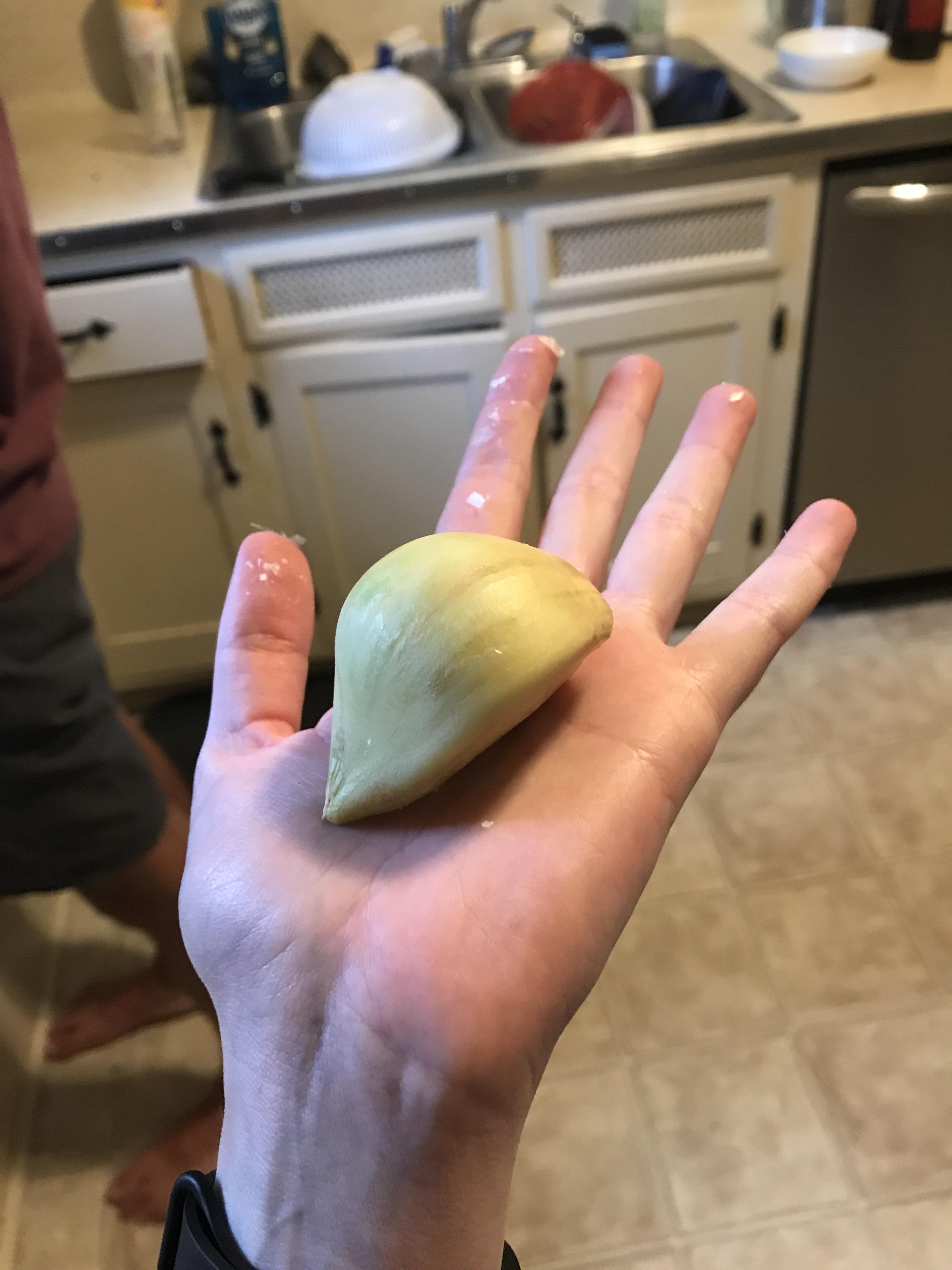 this huge clove of garlic r/mildlyinteresting