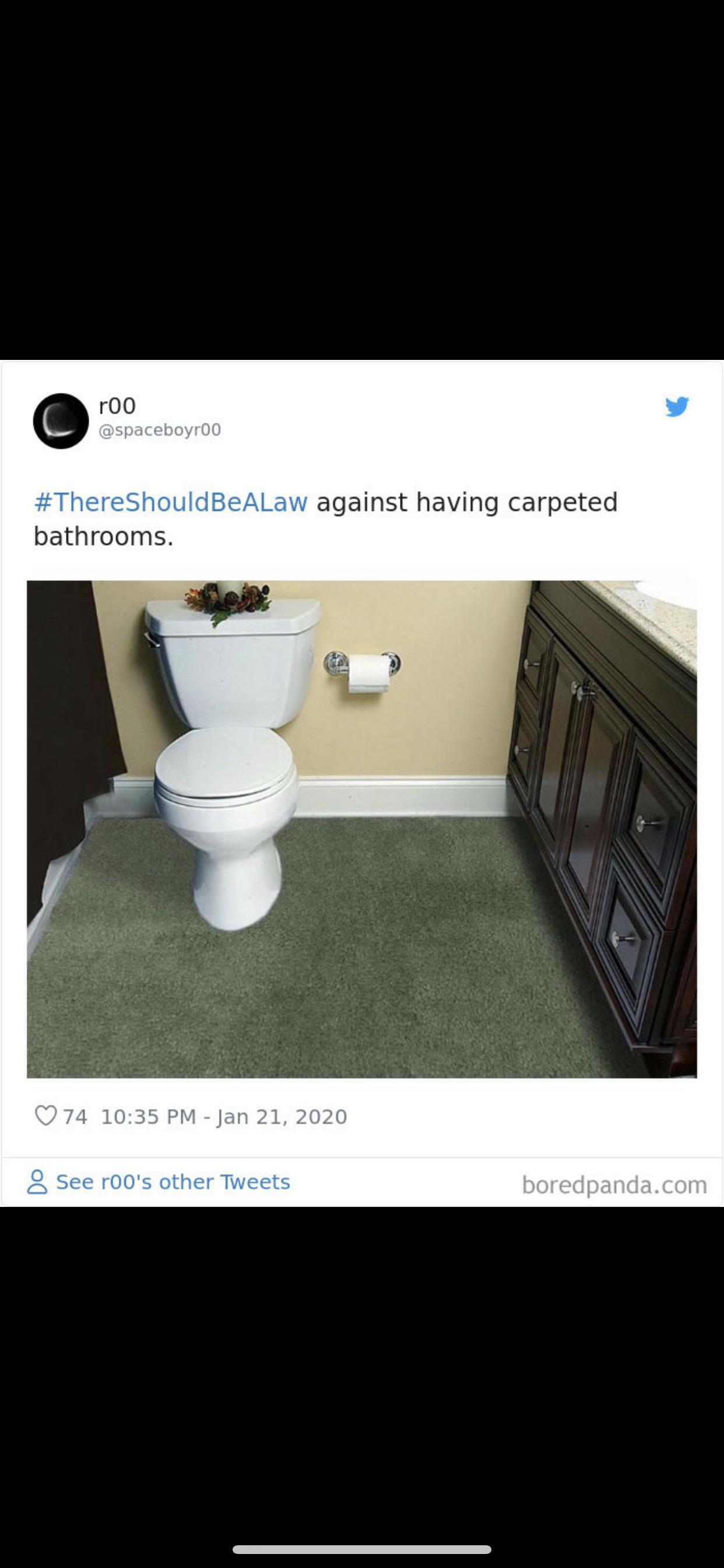 Carpeted bathrooms (credit to spaceboyr00) r/mildlyinfuriating
