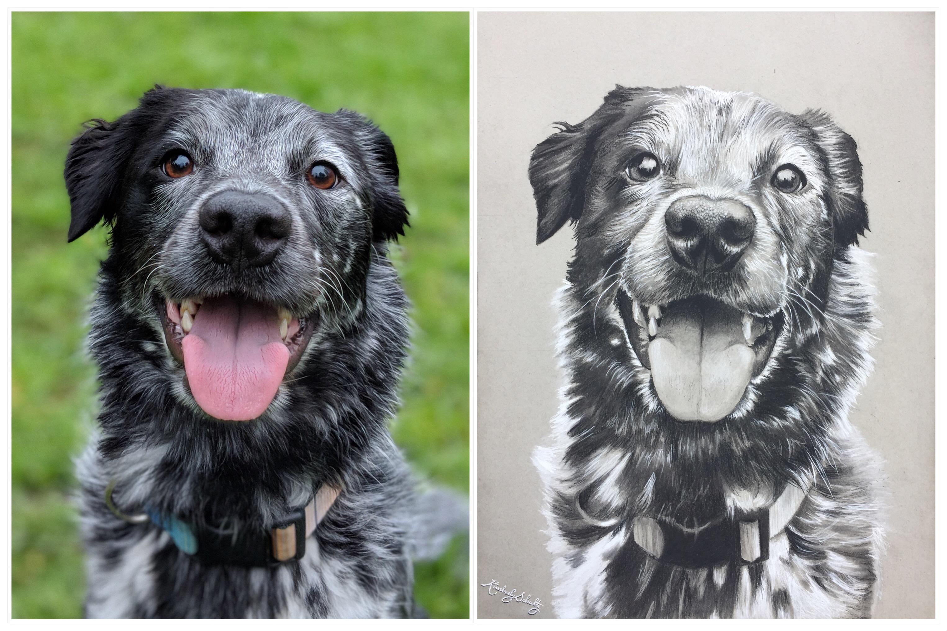 My Favourite Pet Is Rabbit By Artrave On Deviantart