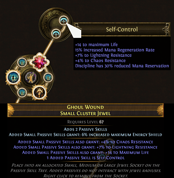 Bugged new cluster jewel notable, it counts as small node so it also