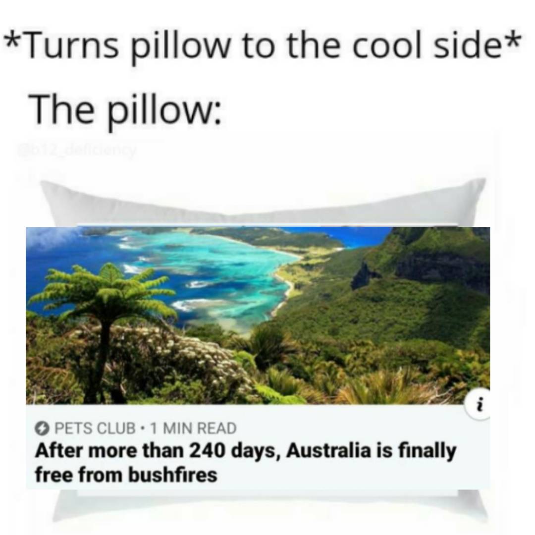 Yay, finally r/memes