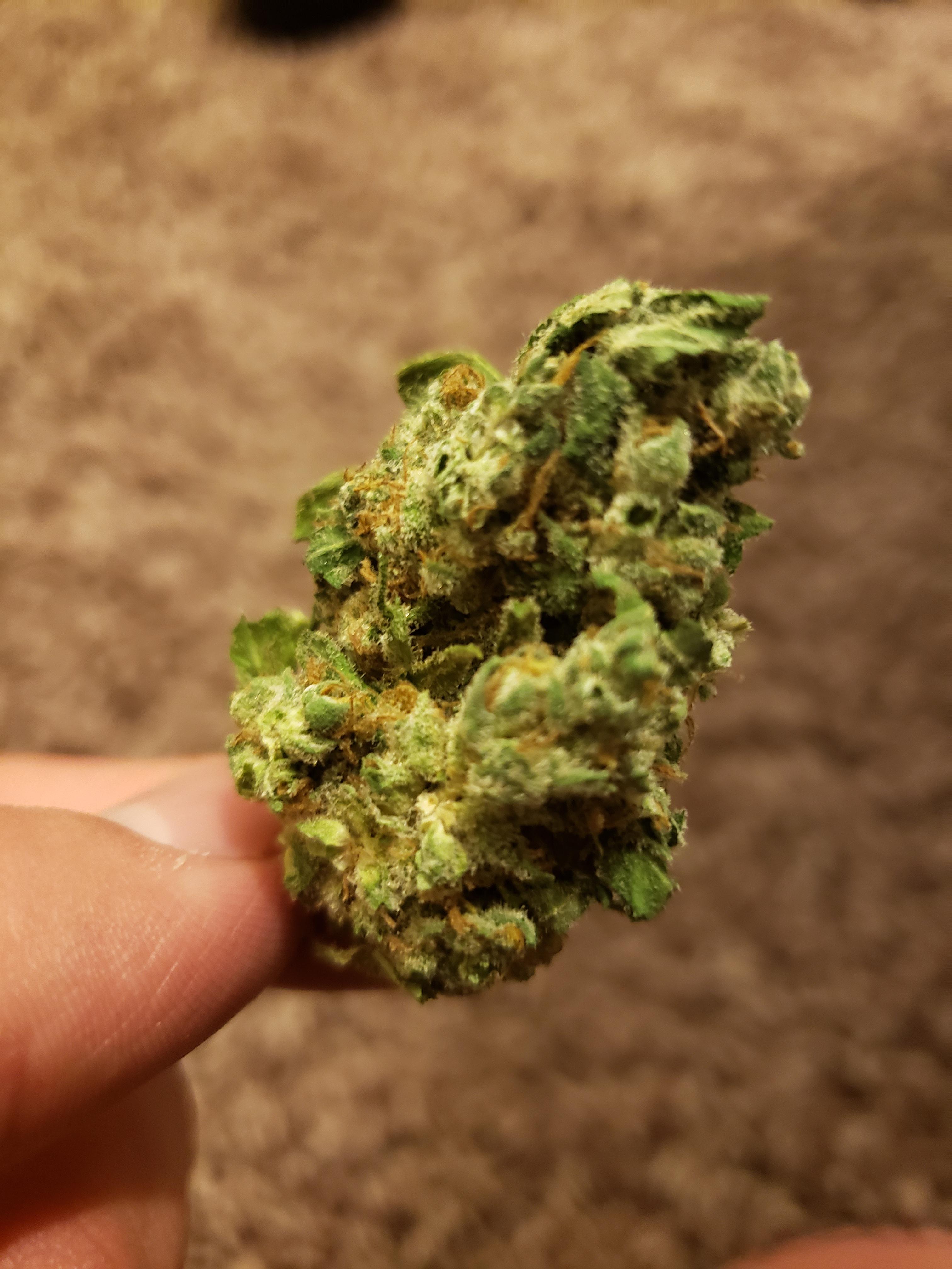 My first dispensary bud r/trees