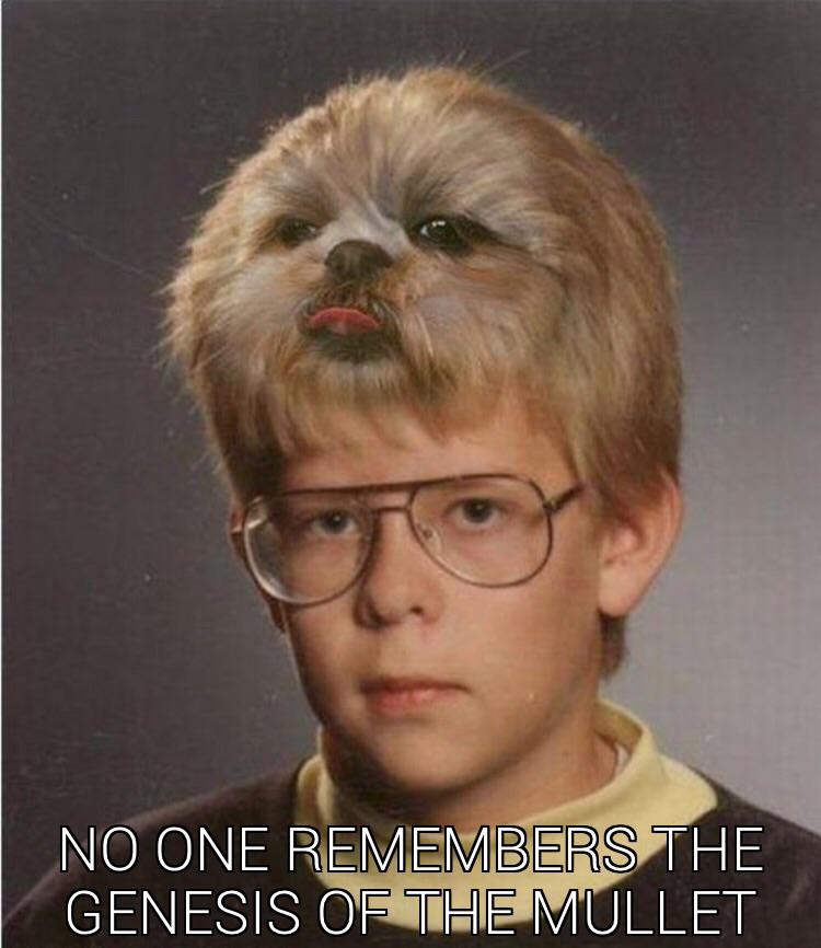 The mullet r/memes