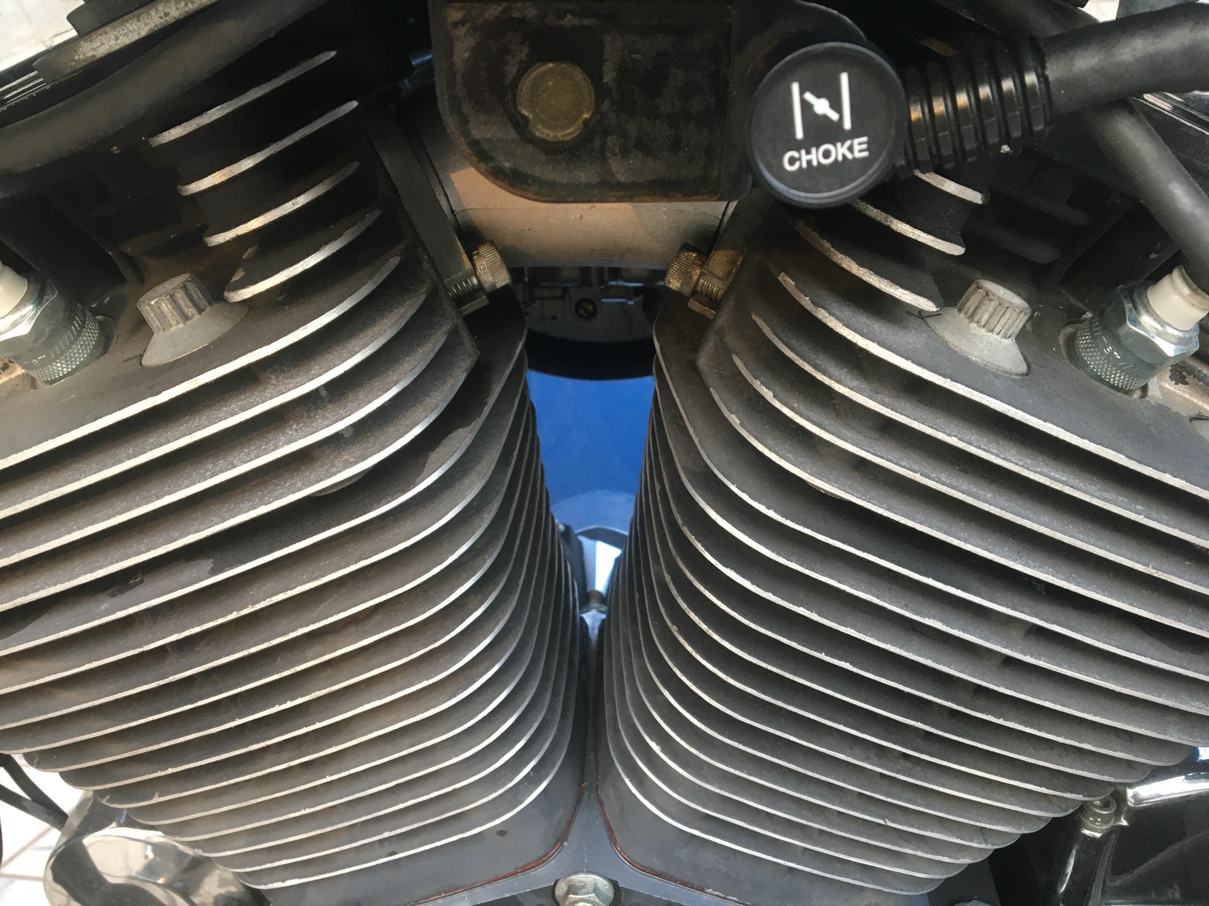 Head gasket leak, can I still ride? r/Harley