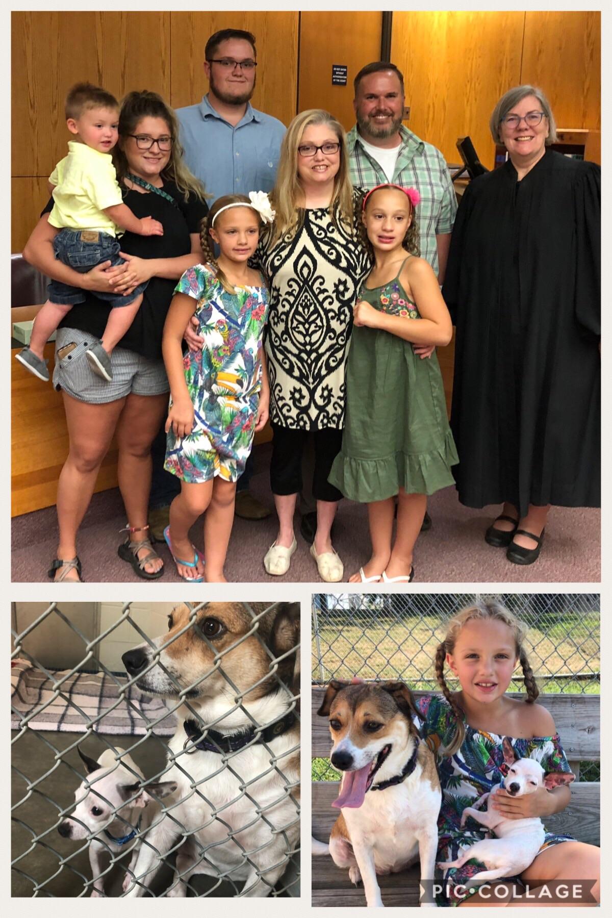 This week we adopted a set of sisters we've had for 5 years, the next day we adopted a pair of