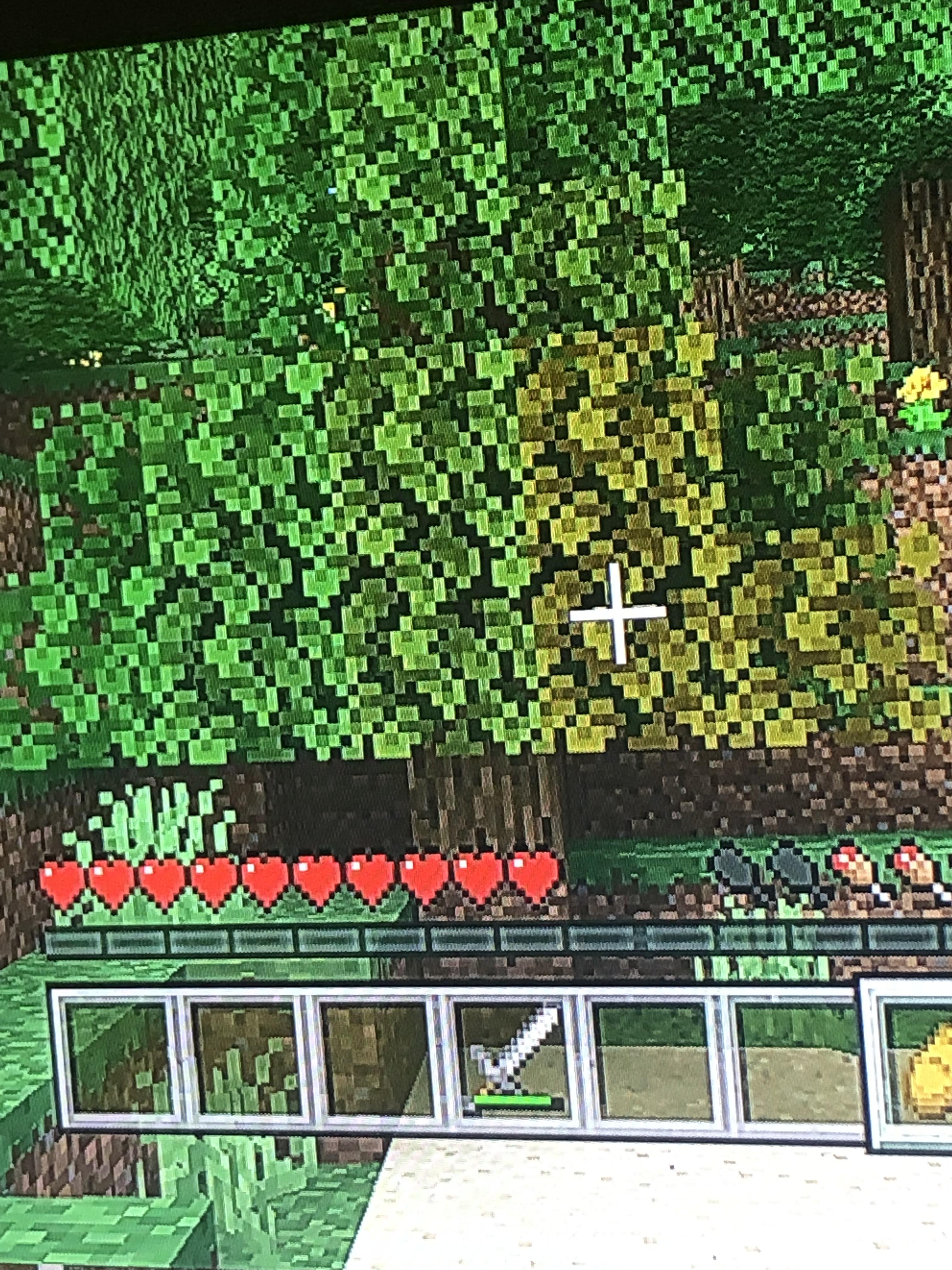 Was playing survival and I found this tree with 3 different color