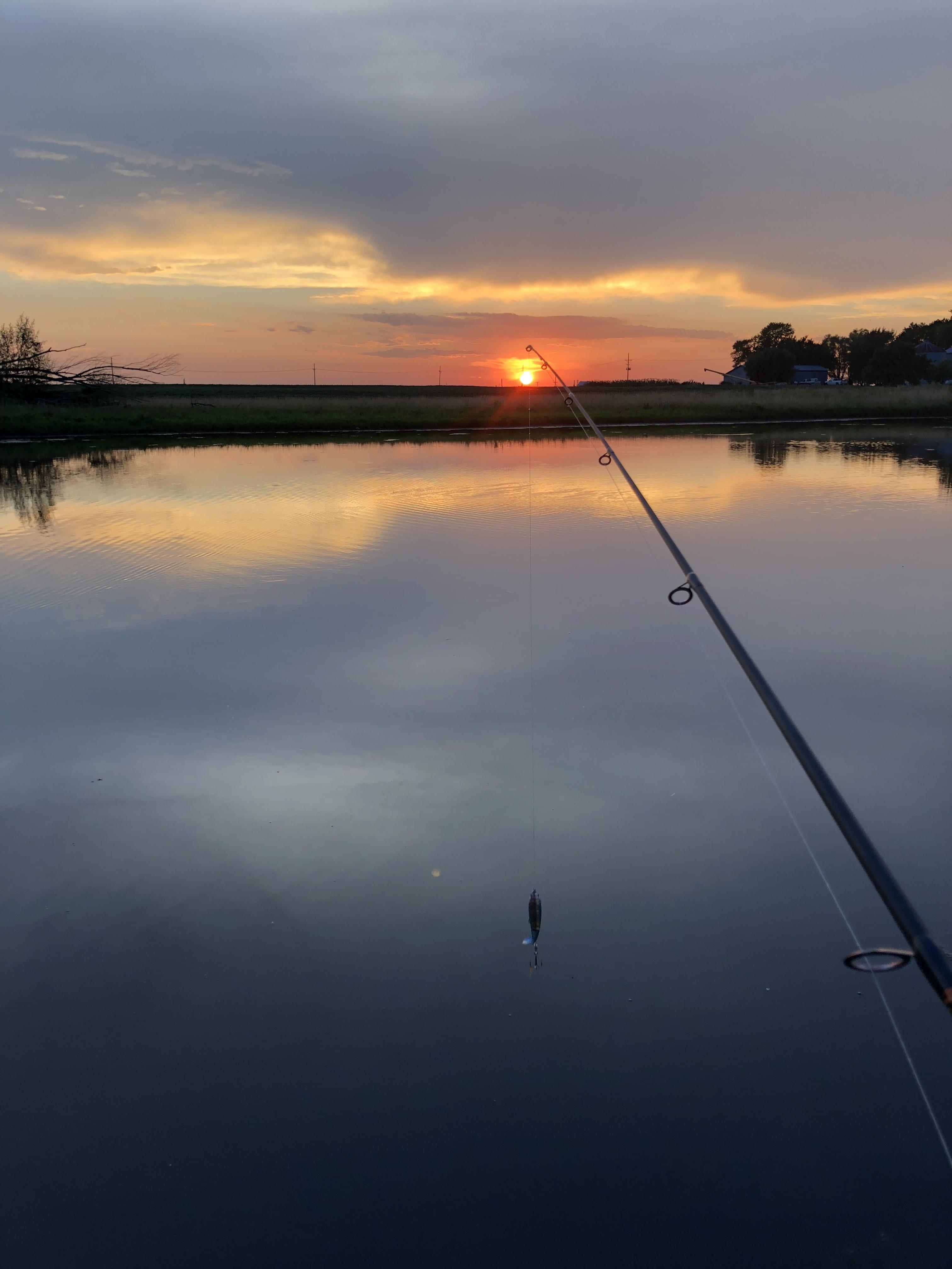 Mound city top water fishing r/Outdoors