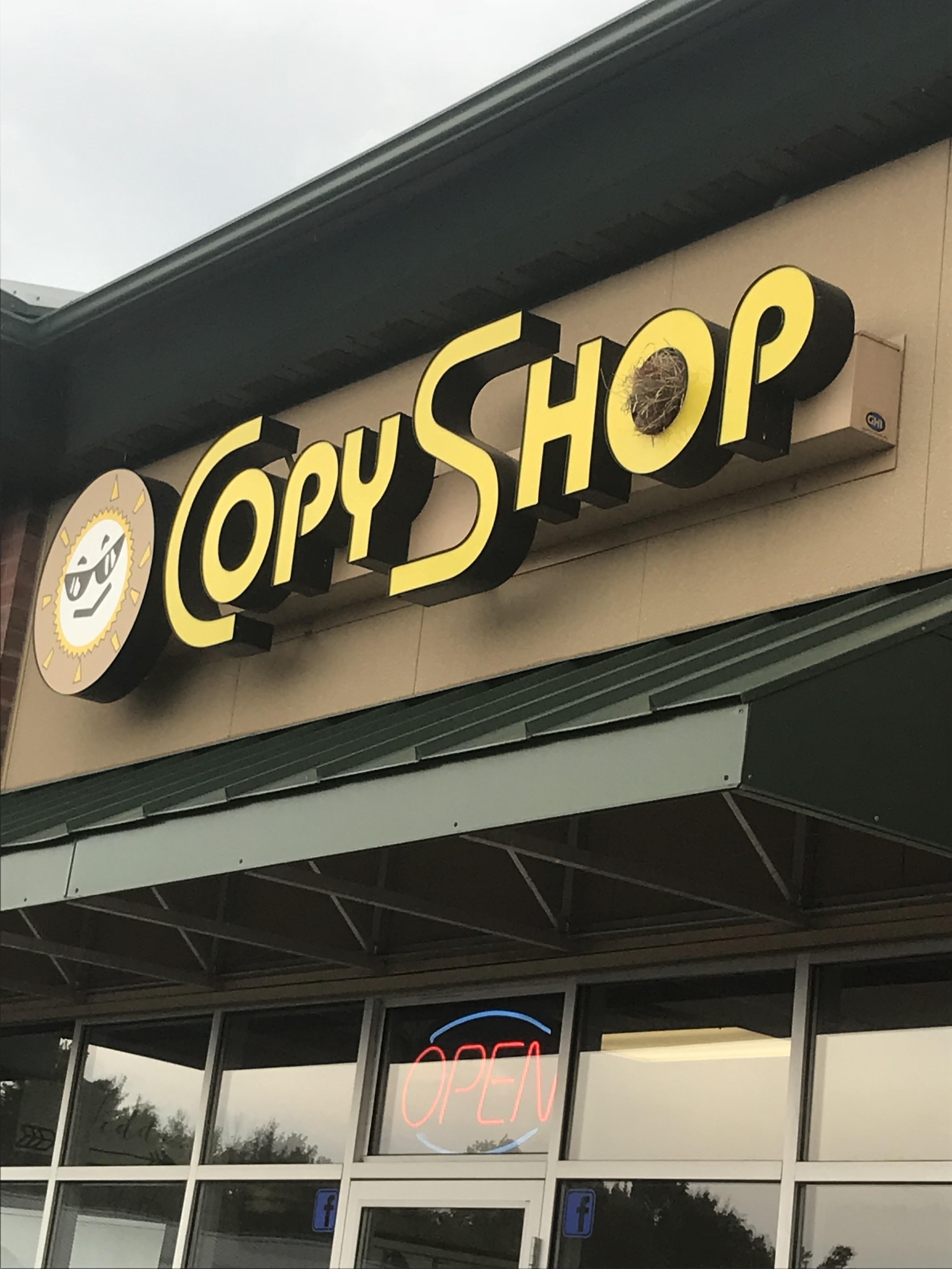 There’s a bird nest built inside the O of this sign r/mildlyinteresting