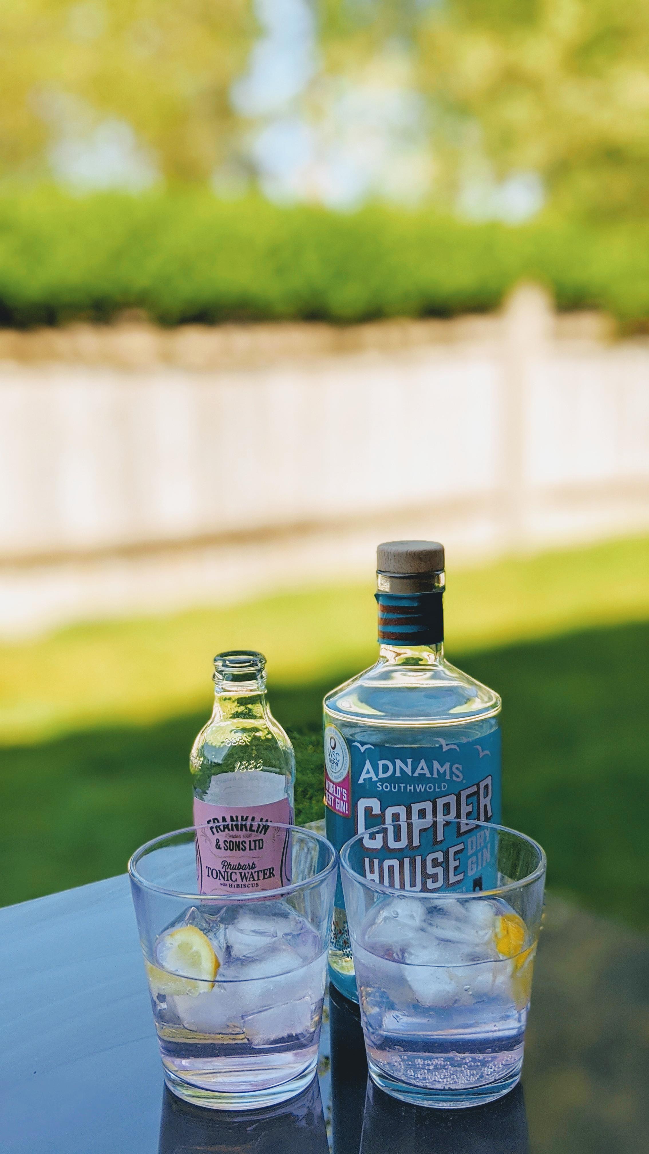 Adnam's Copper House Dry Gin & Rhubarb Tonic Water with Hibiscus. The