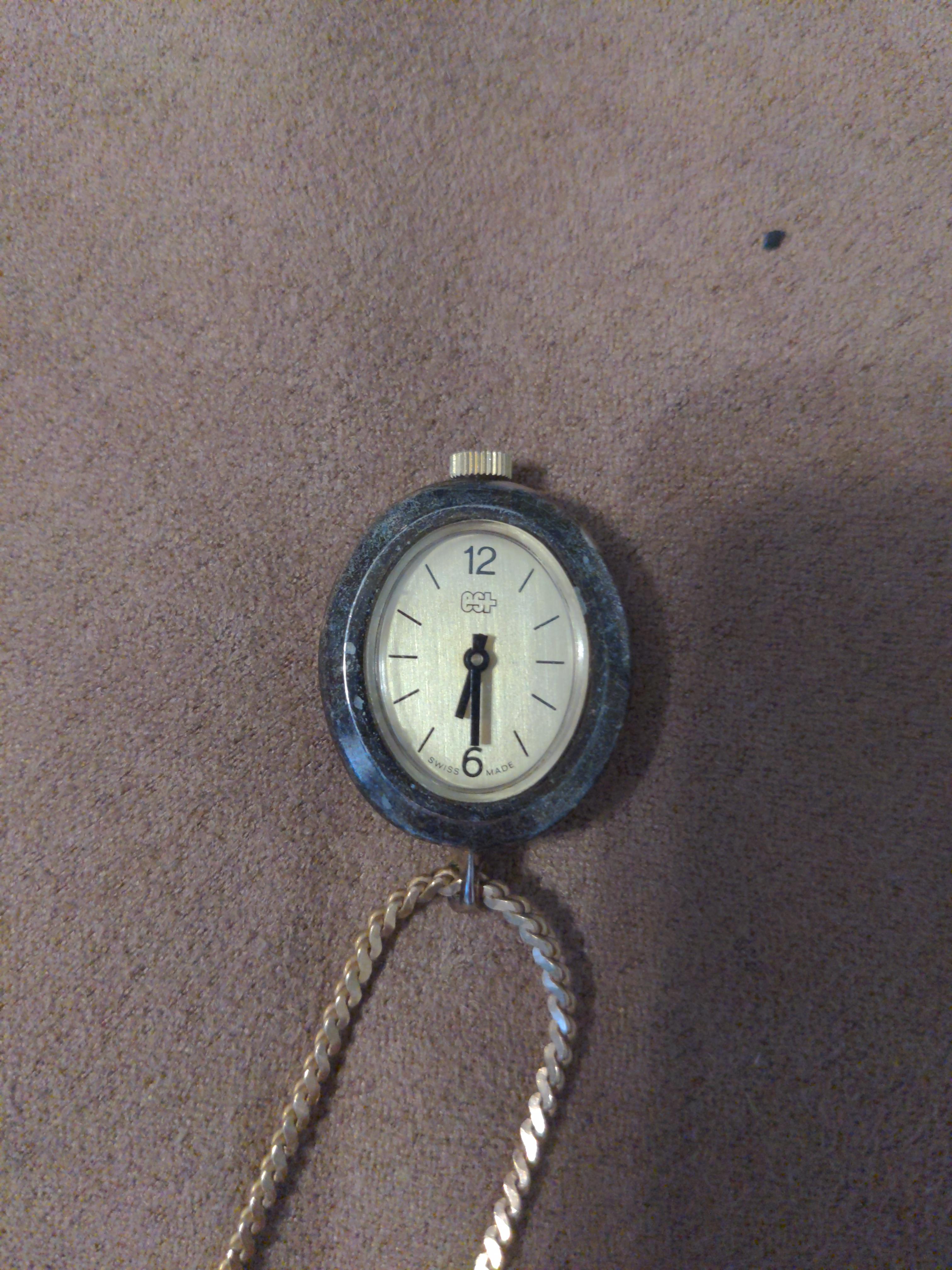 [EST, ES+] pocket watch. I'm struggling to find information about this