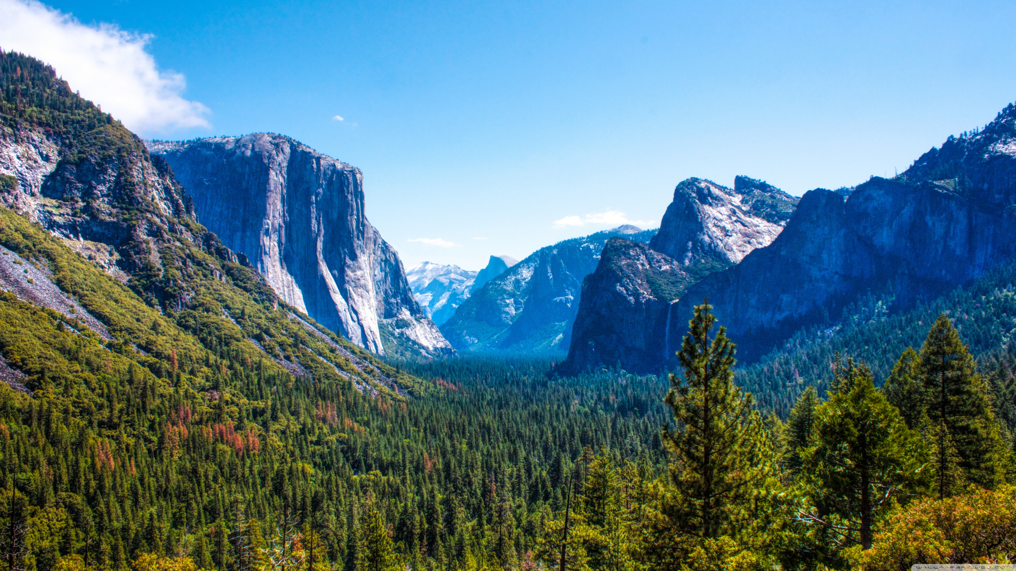 Yosemite Valley, Yosemite National Park, California (Photo credit to IG