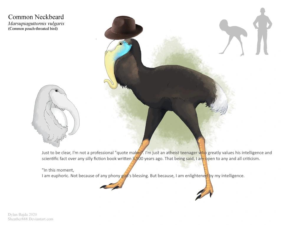 The king neckbeard (serina) : r/SpecEvoJerking