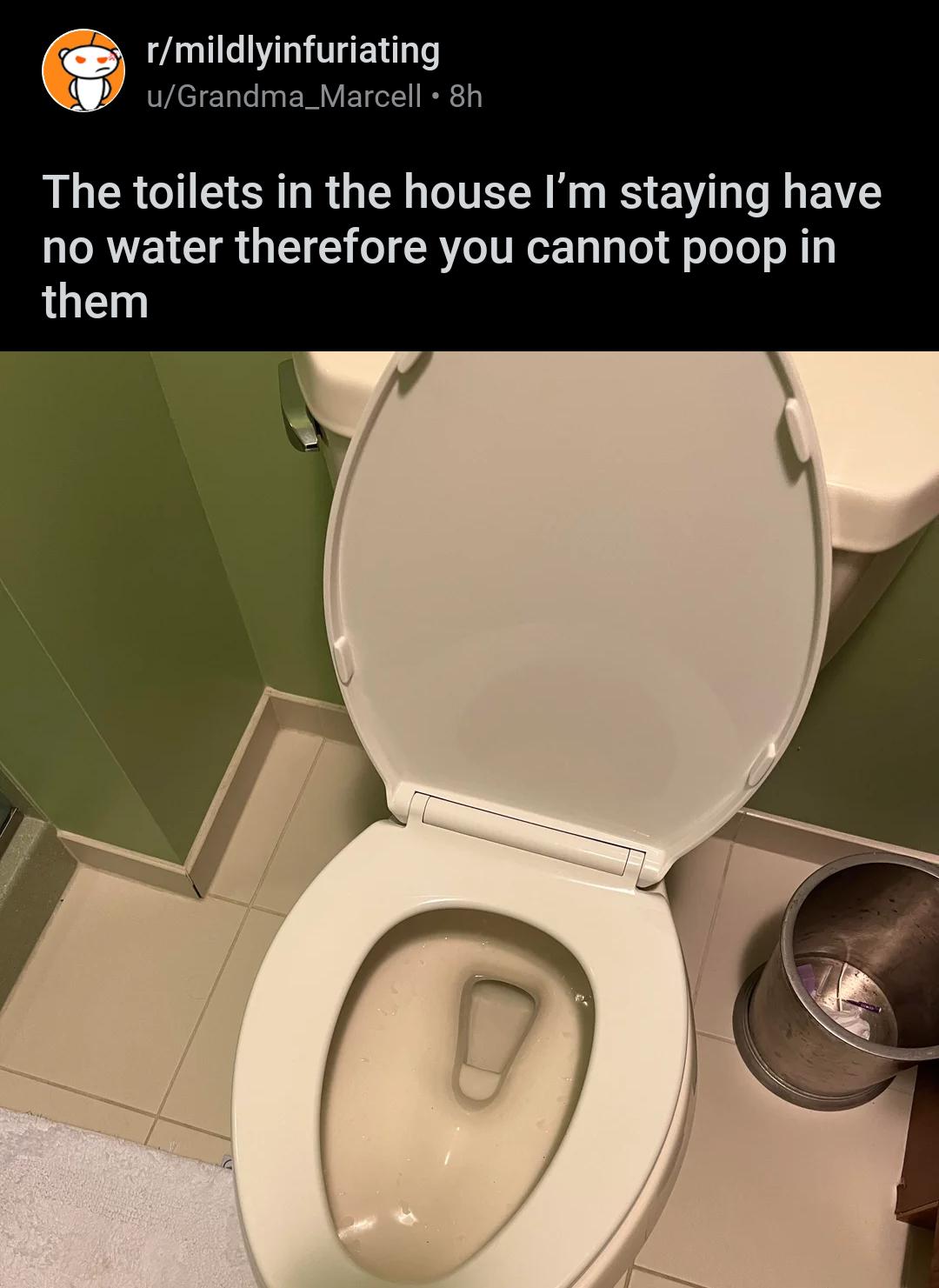 The toilets in the house I’m staying have no water therefore you cannot