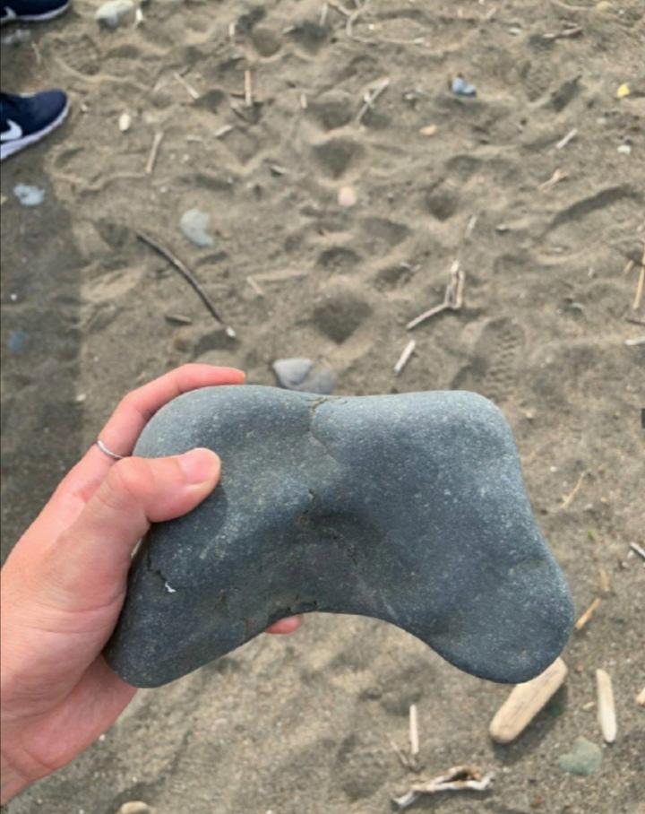 The bedrock controller a dummy controller to fool ur little brother r