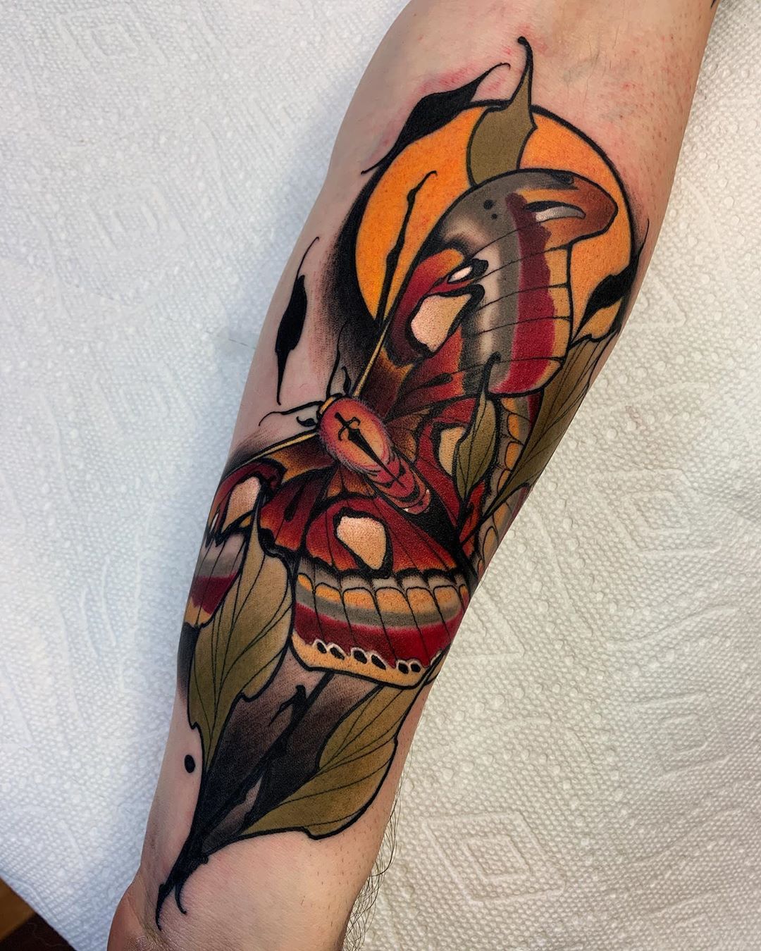 Moth done by Randy Burnham at Seven Horses Tattoo in