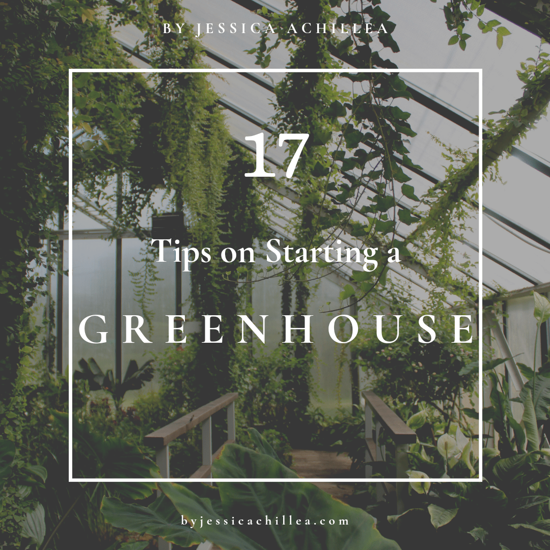 🌿 17 Tips on Starting a Greenhouse 🌿 r/greenhouse