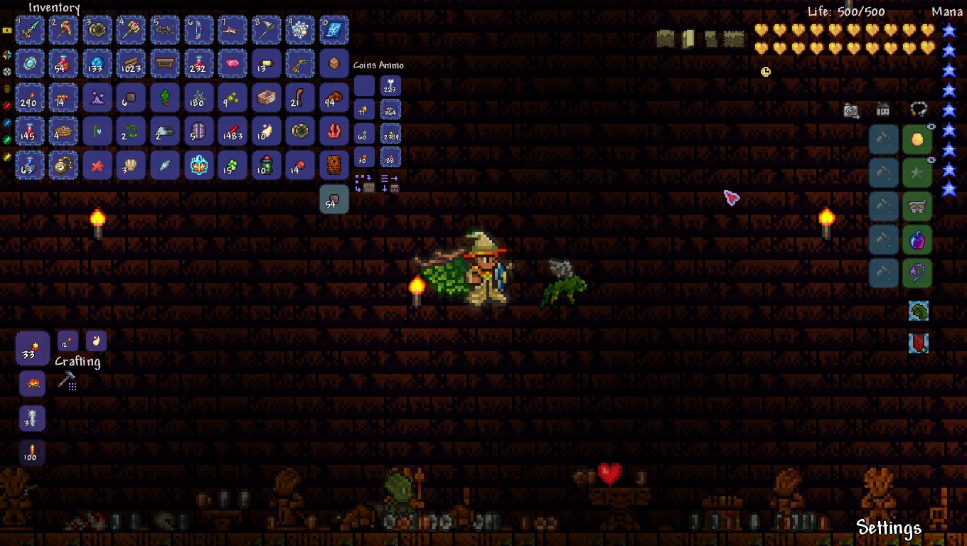 just got the rarest pet in the game while cleaning the temple for the