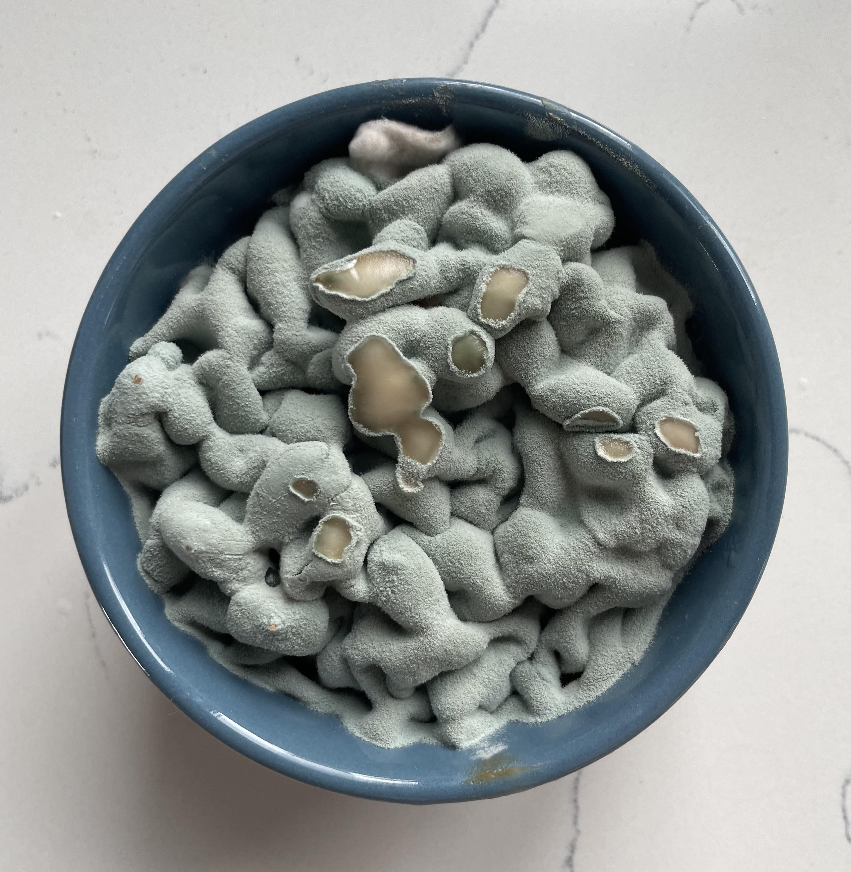 My moldy baked beans look like brains. r/mildlyinteresting