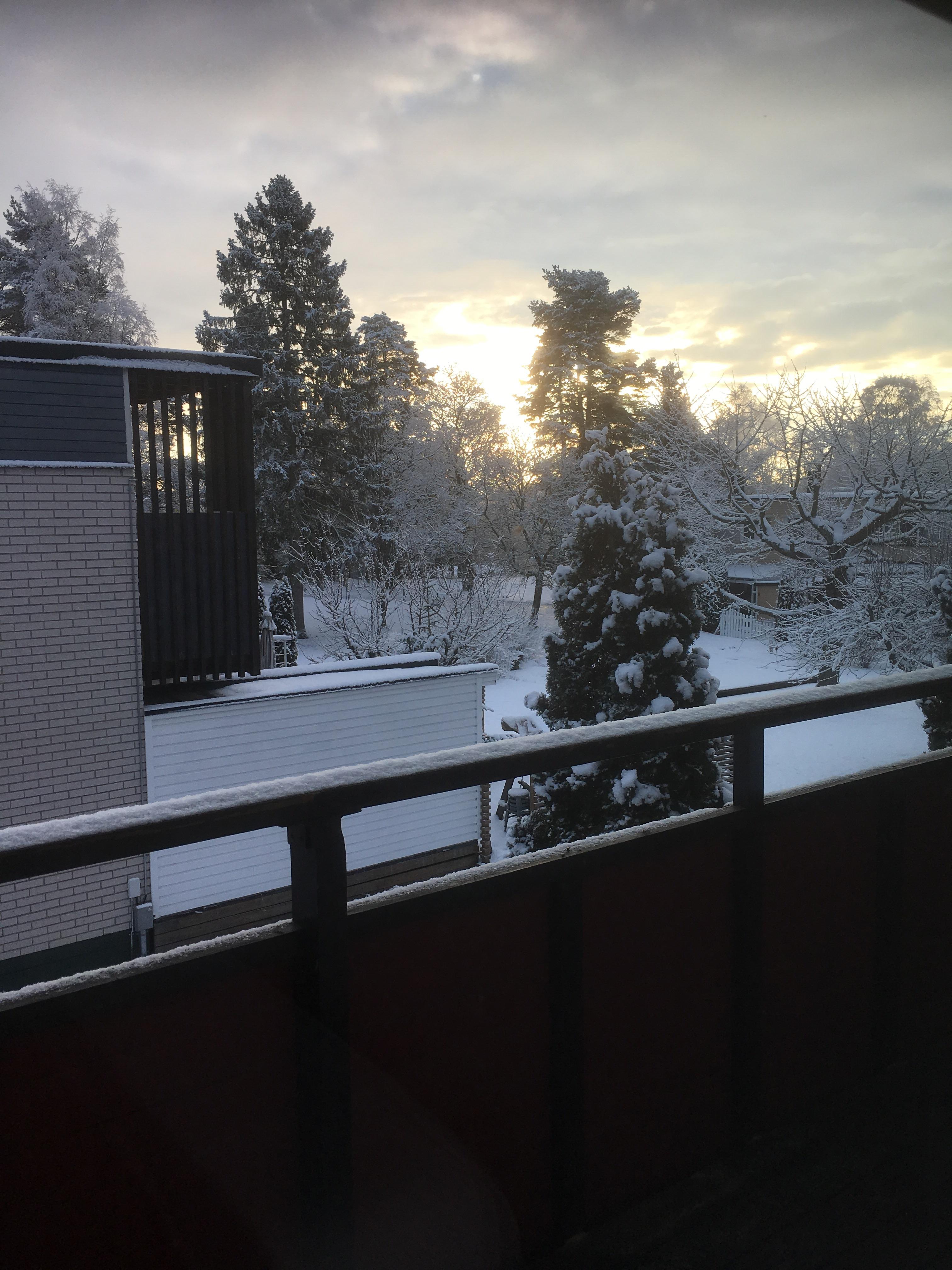 The snow in Sweden right now r/europe