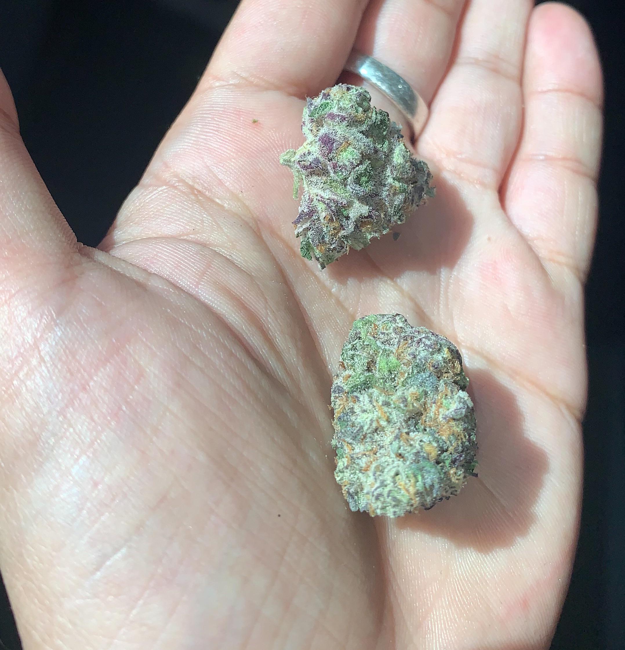 HIDDEN PASTRY 8 BY SKOOKUM BUDMAIL OCTOBER 10th 2020 r