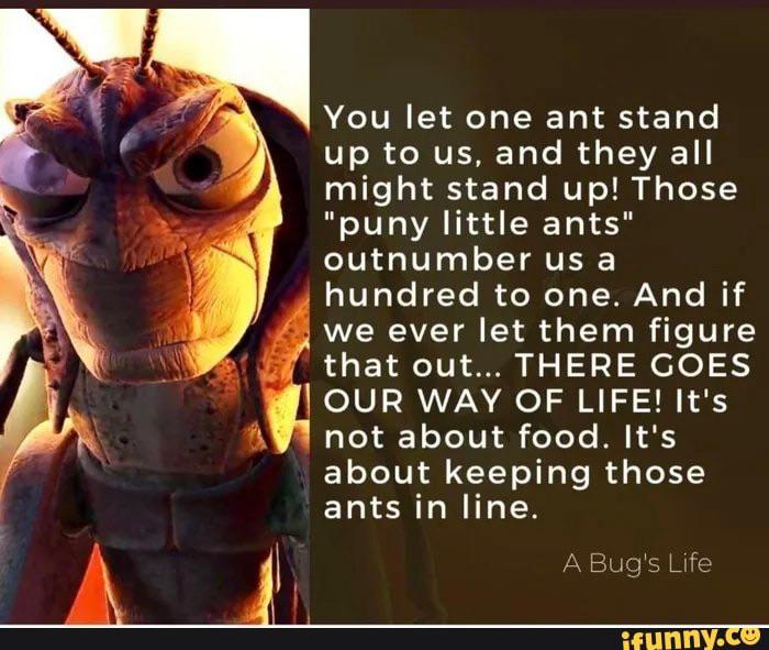 A bug’s life was deeper than I thought. r/antiwork