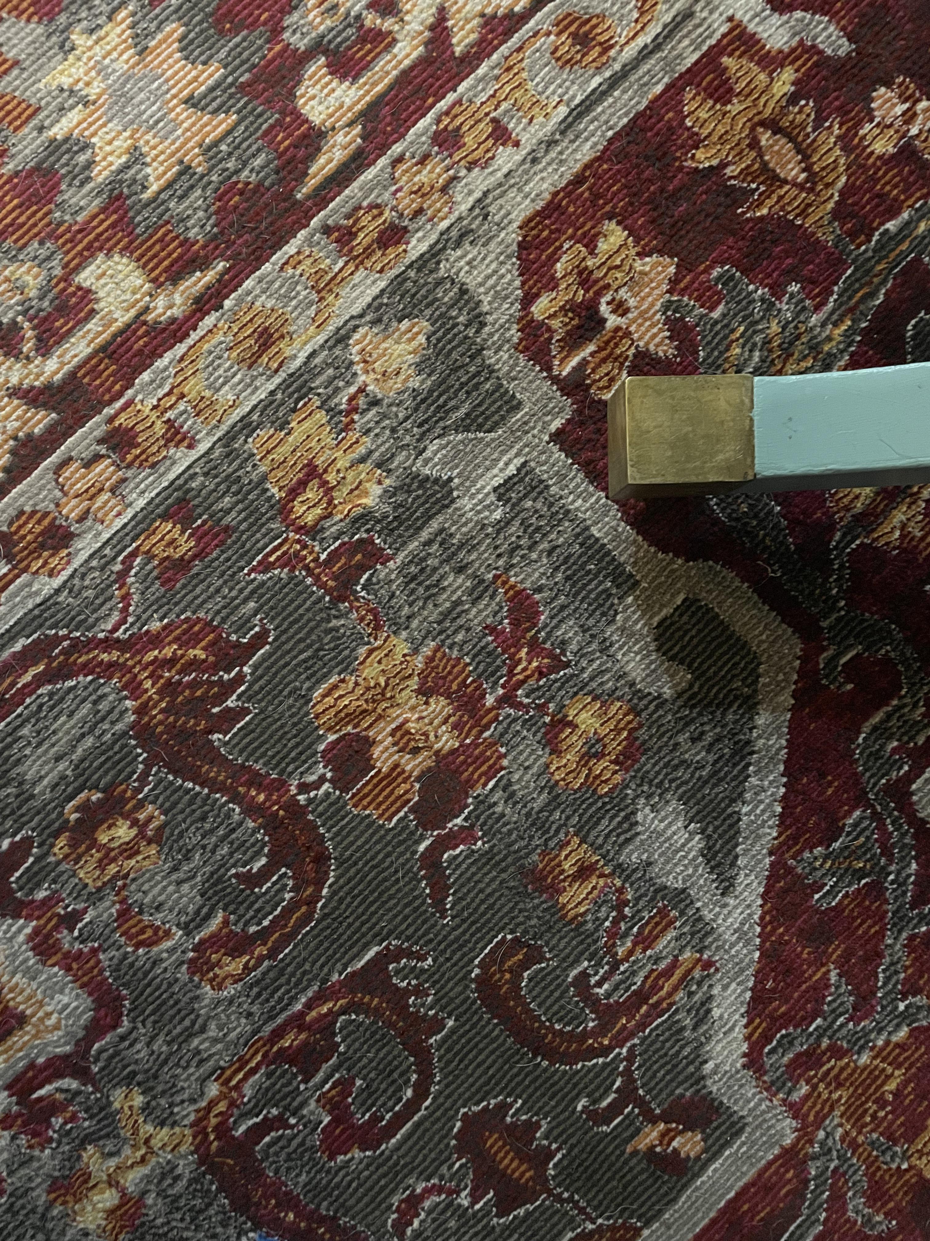 Dog smell stuck in rug help! r/CleaningTips