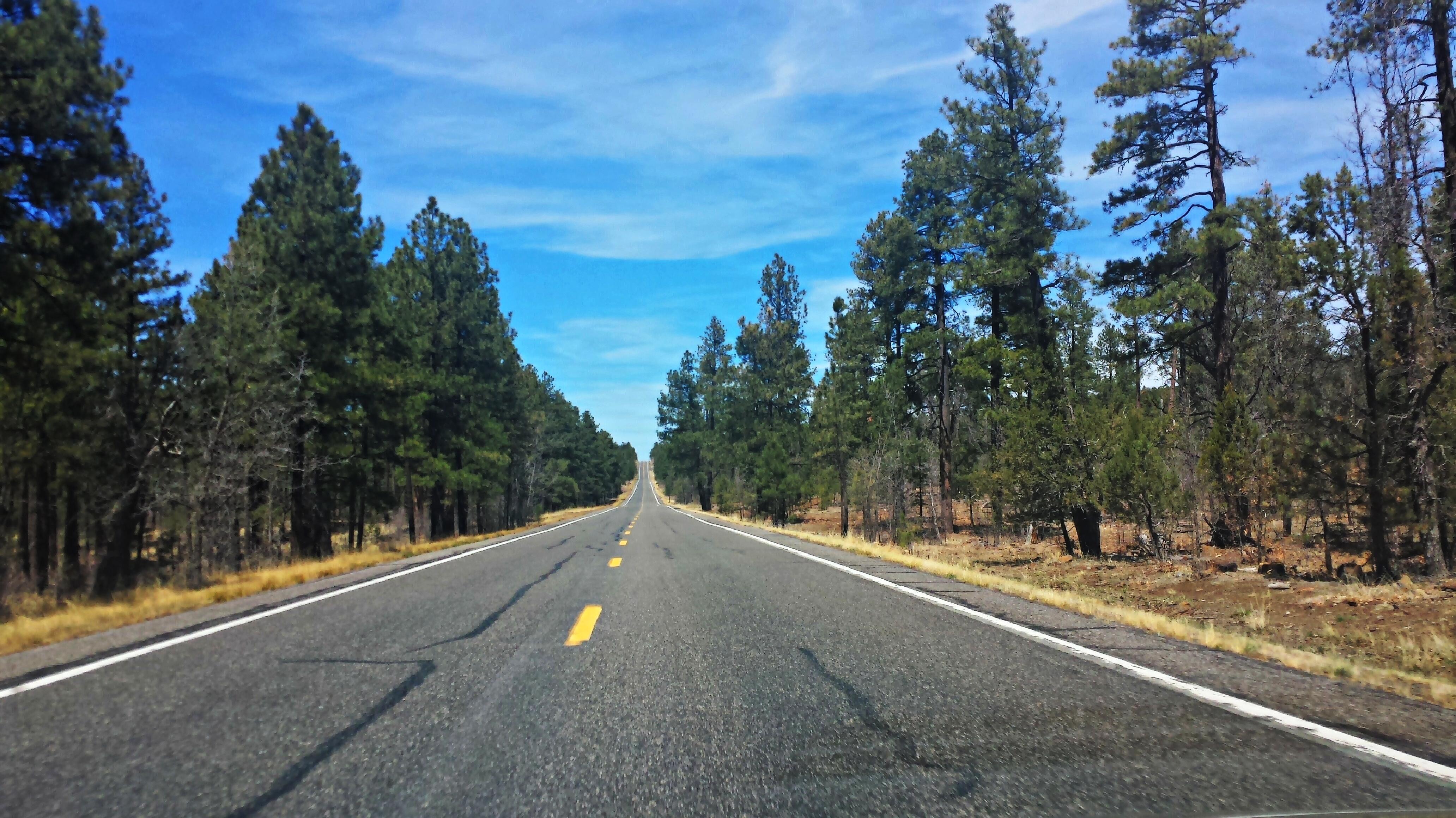 Highway 260, Arizona r/roadtrip