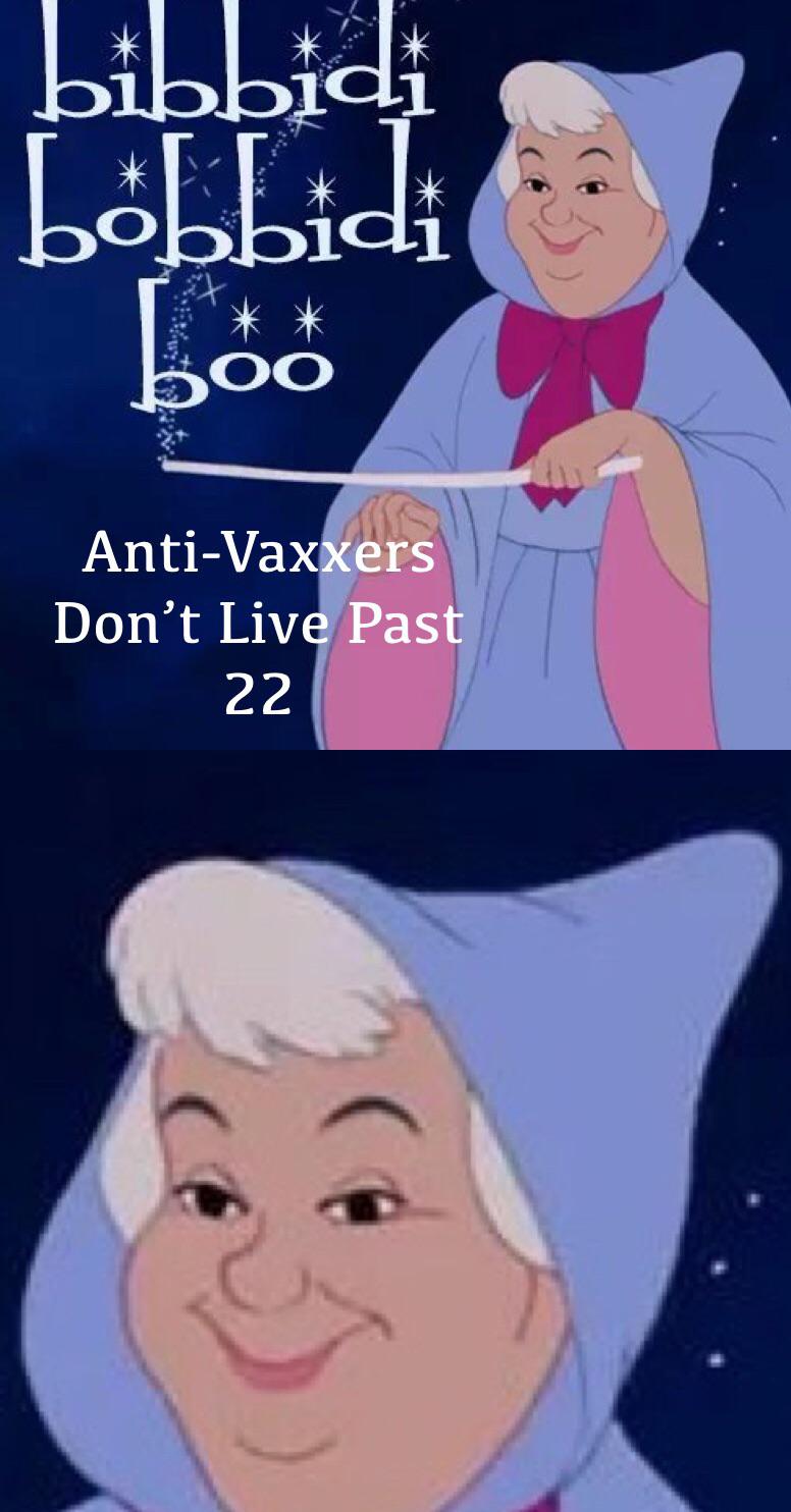 Bippity Boppity Boo meme