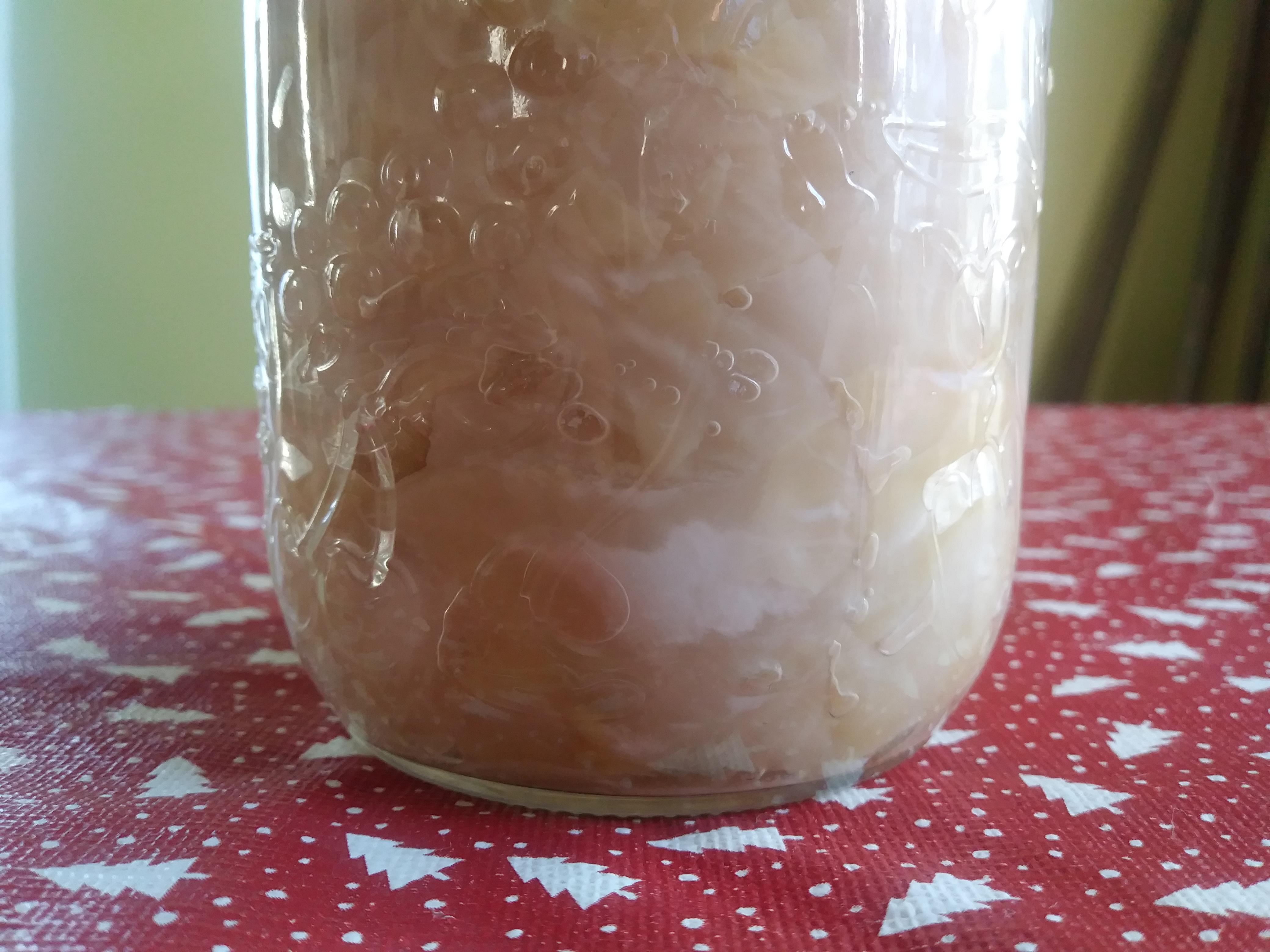 First time making sauerkraut. Does this look more like yeast or mold