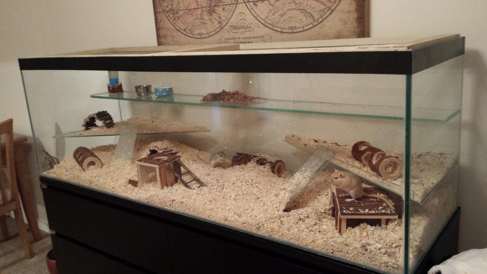 Found this fantastic tank available to buy in the UK! r/gerbil