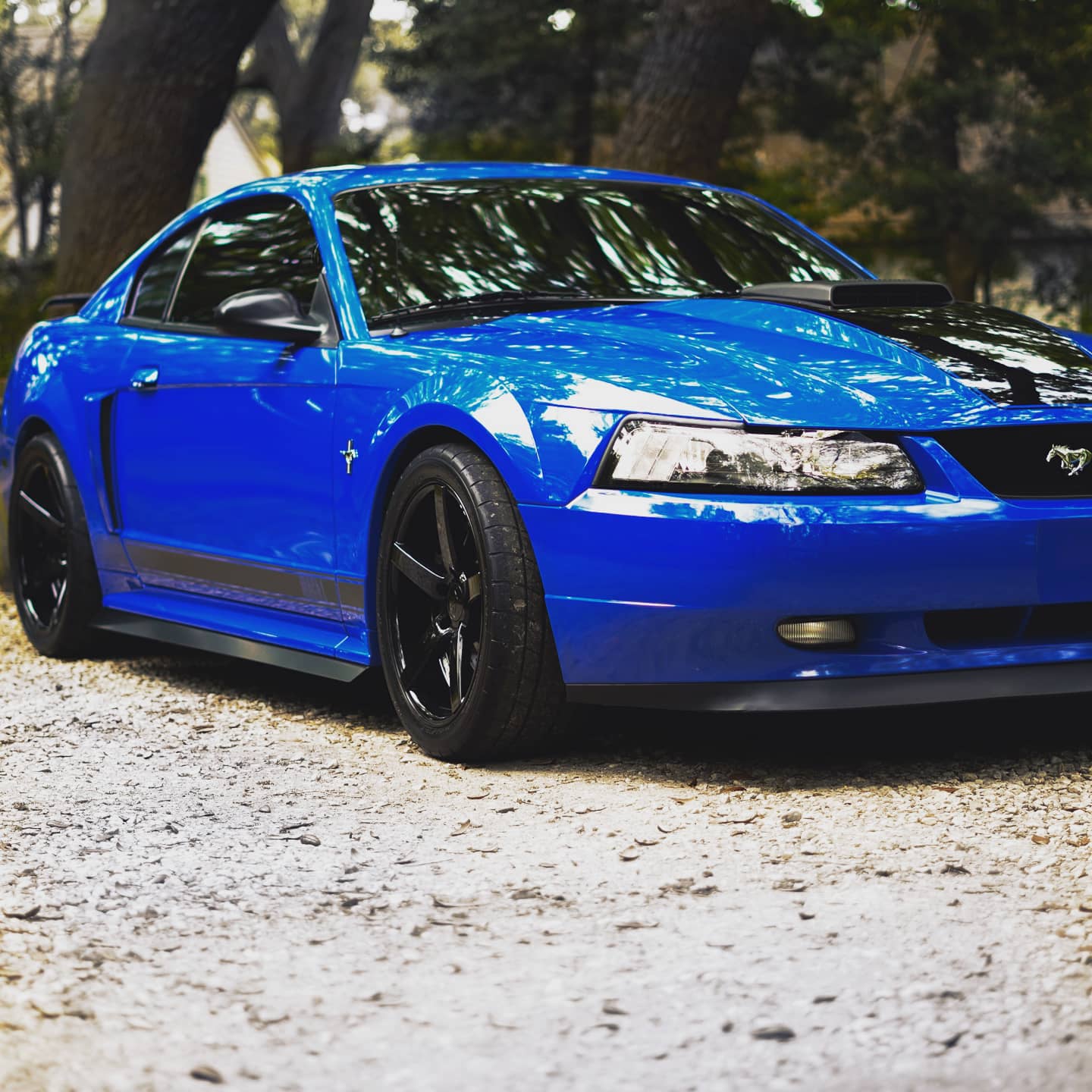 03 Mach 1 : r/Mustang