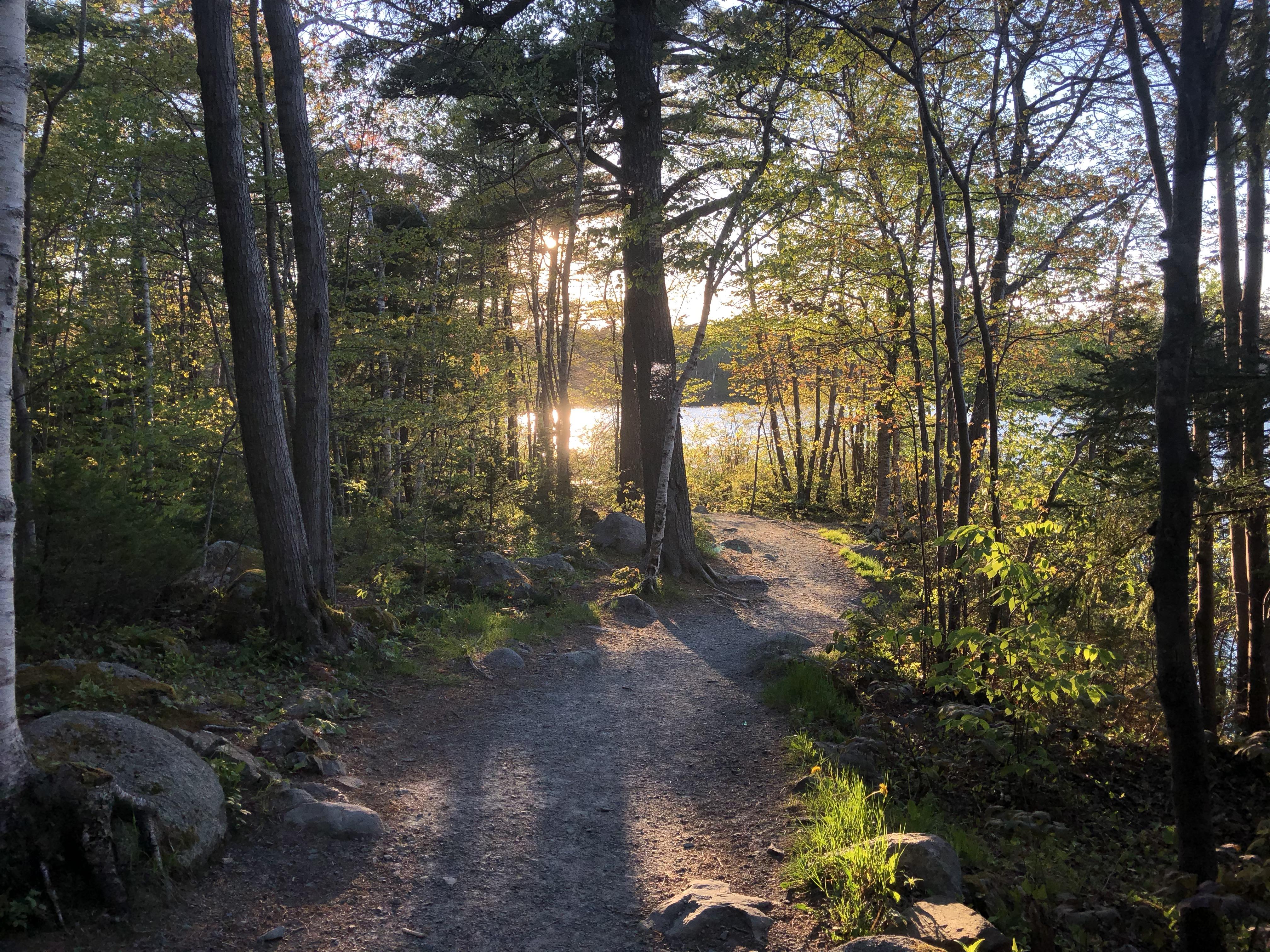 A stroll around the frog pond in early evening in Halifax, NS. [OC