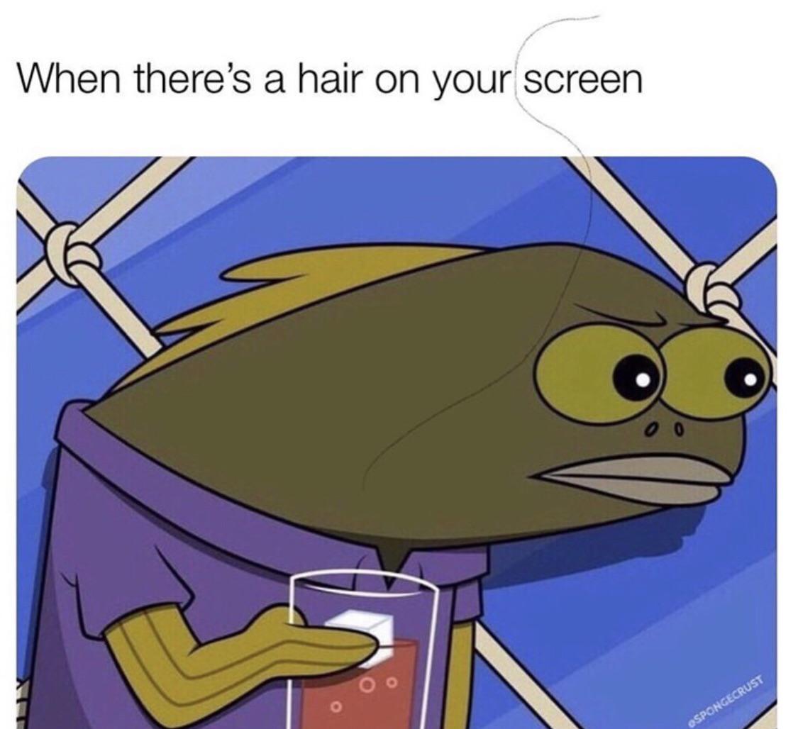 When there’s a hair on your screen r/memes