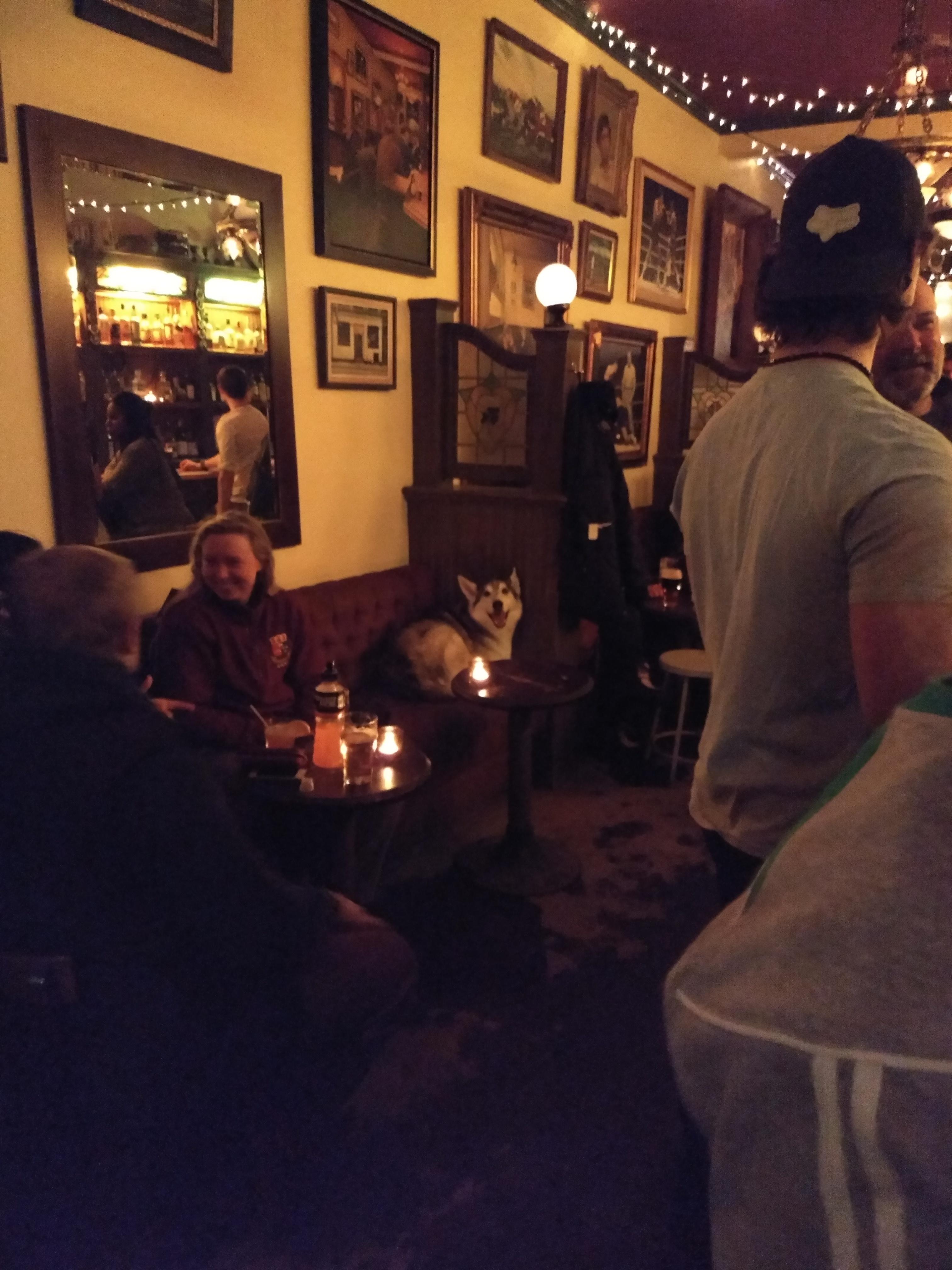 Our eyes meet across a crowded room... r/simplydogs