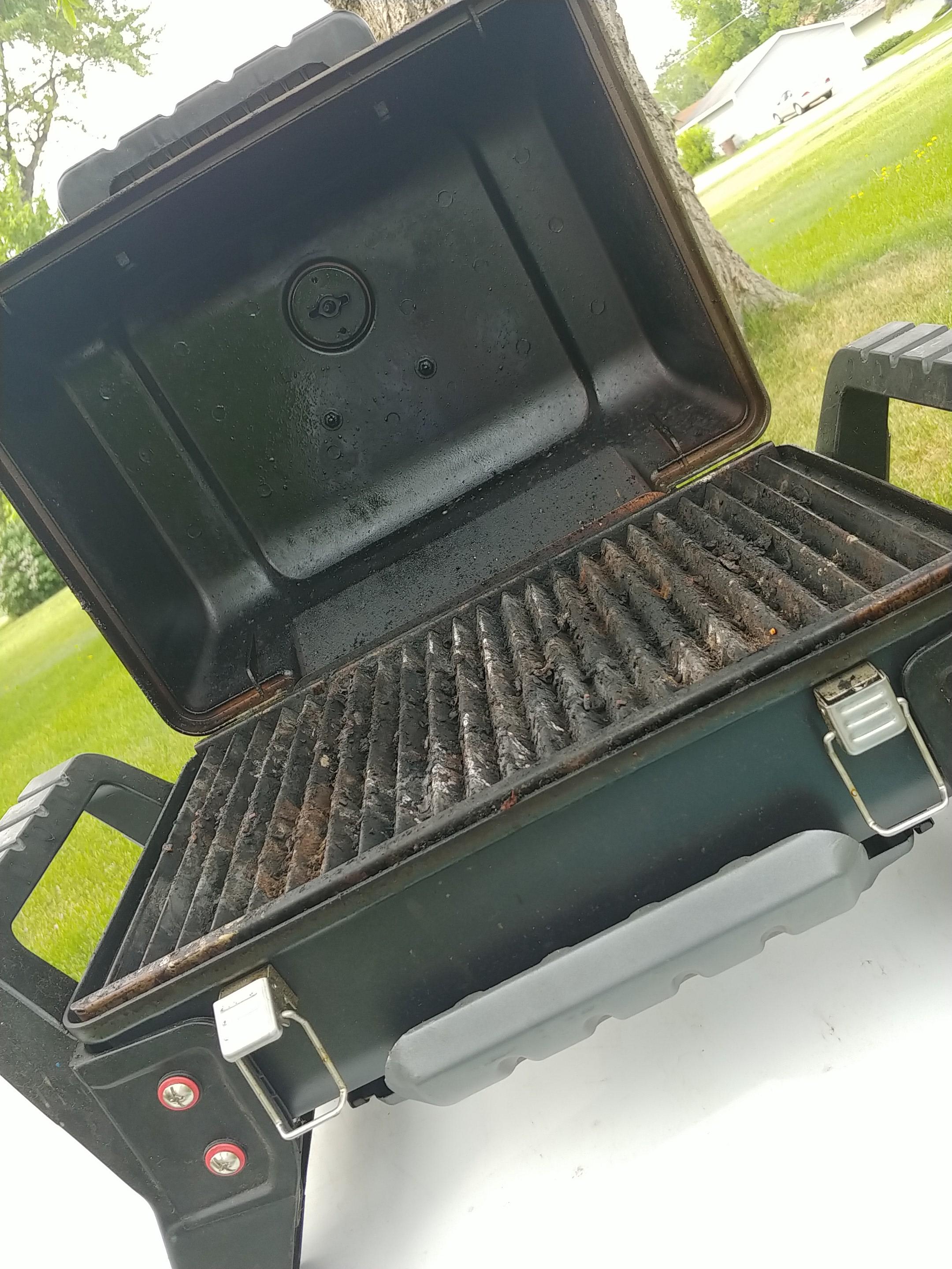 Dirty little grill r/grillsgonewild