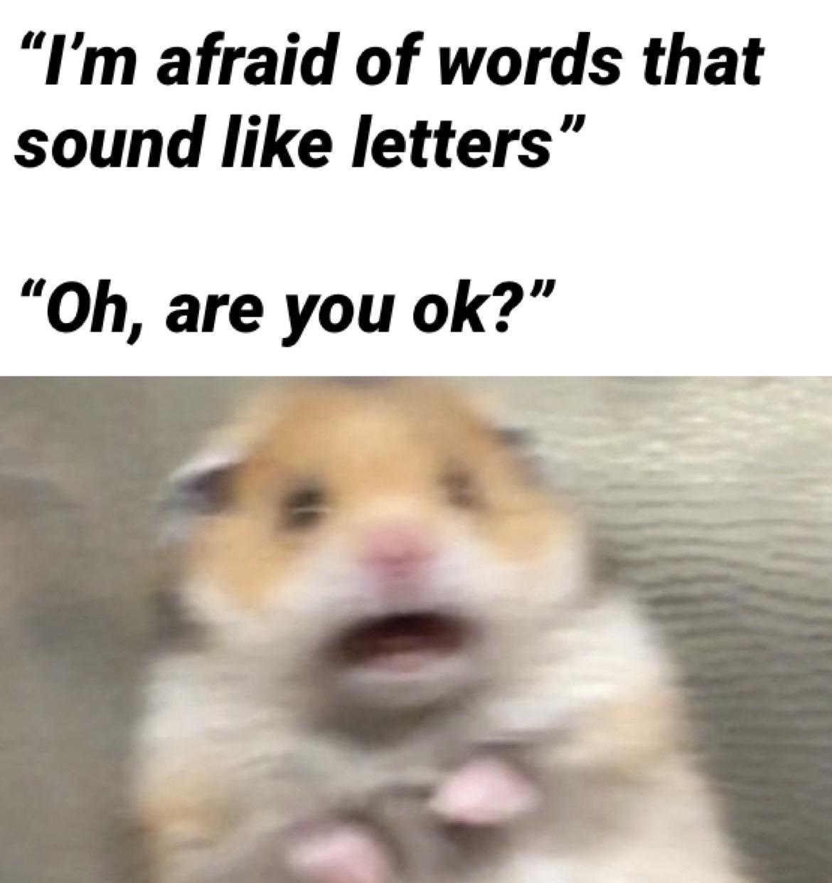 Make it stop... memes