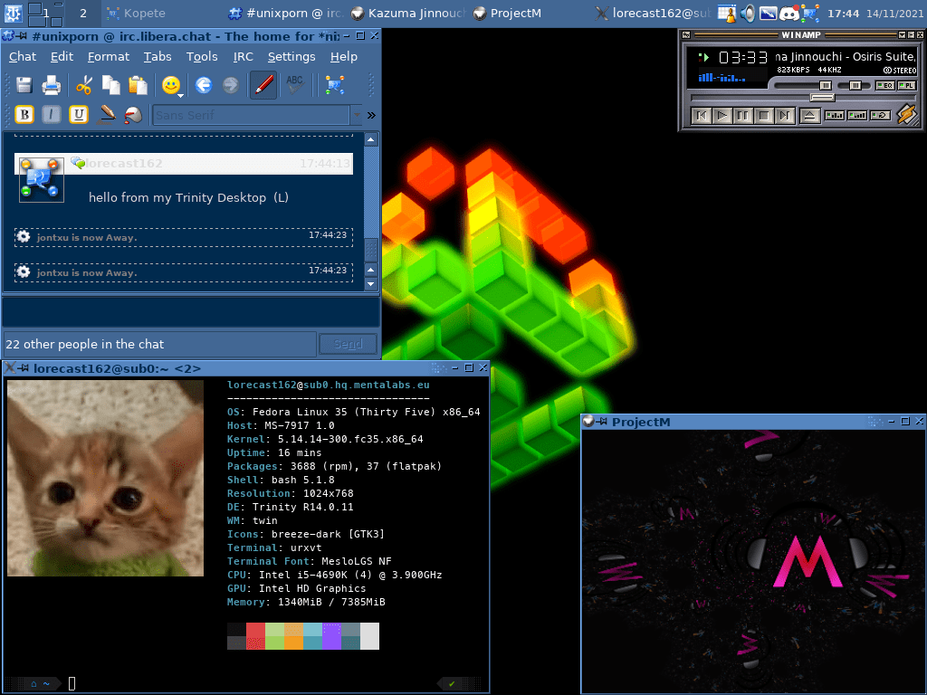 Trinity Desktop Environment running on Fedora 35 r/vintageunix