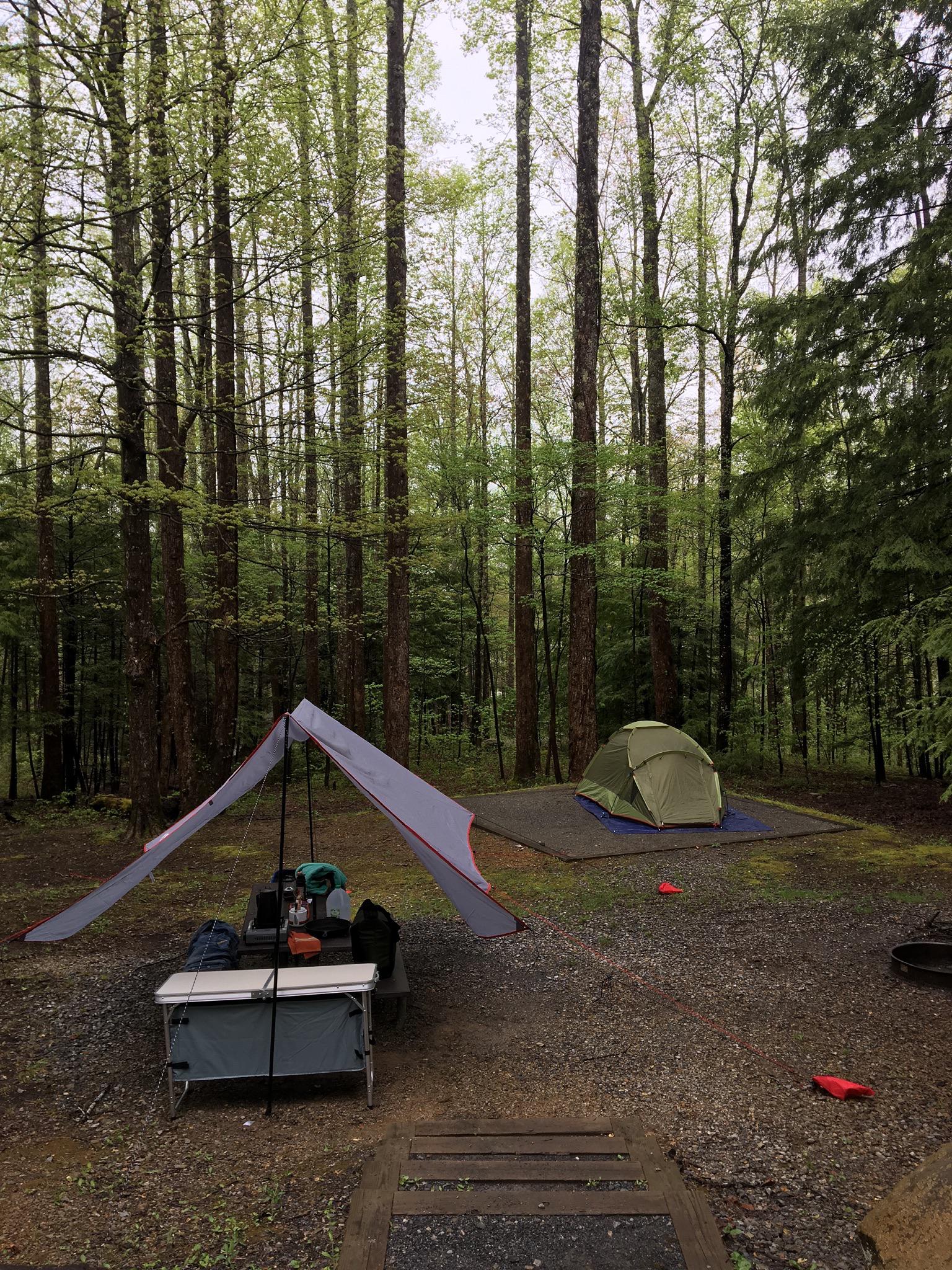 Camping last April at Cosby campground in the Smoky Mountain National Park r/camping