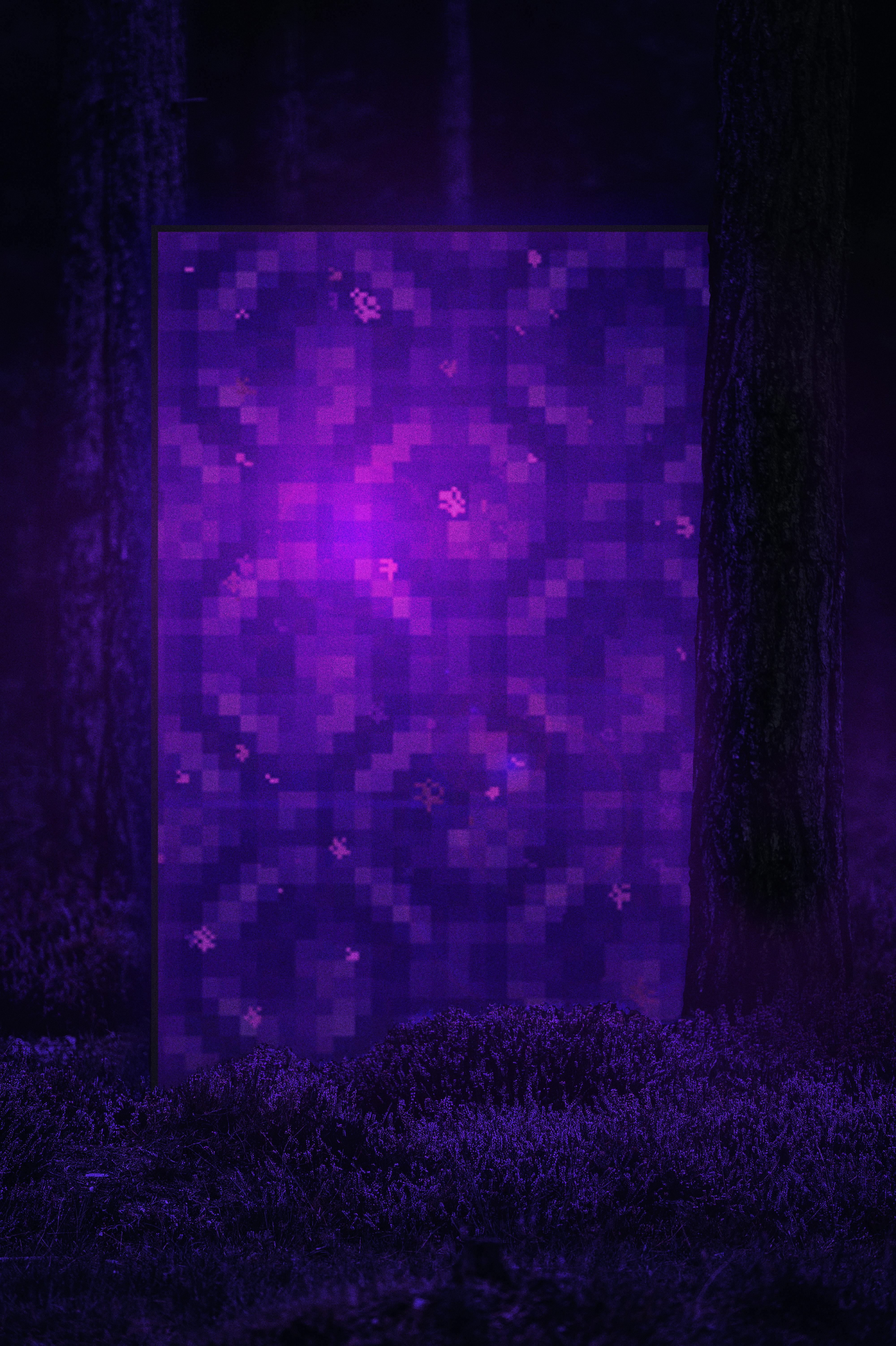 Nether portal in forest Minecraft