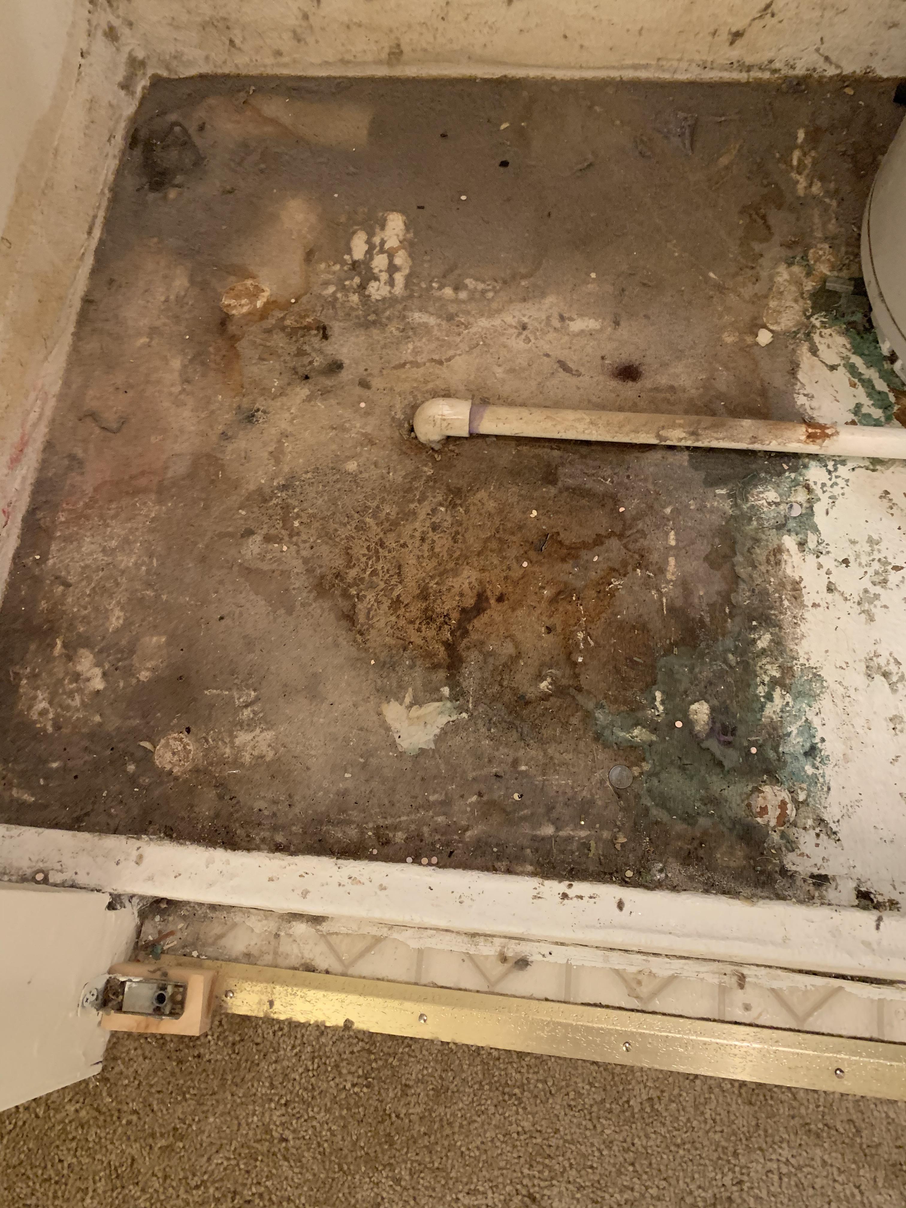 Ideas on how to clean this? This is what I found under my washer/dryer