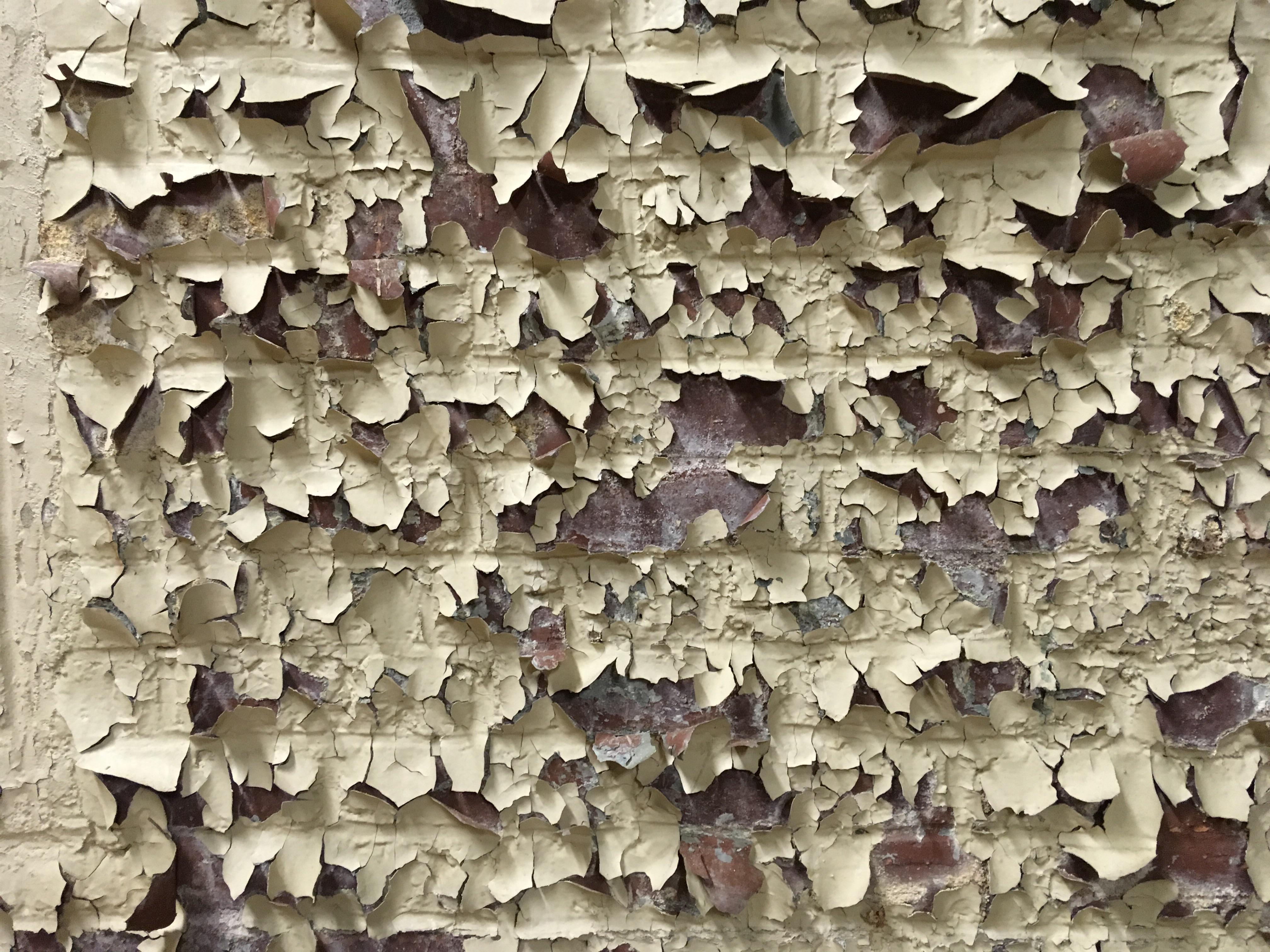 Lead paint flaking off wall r/oddlysatisfying