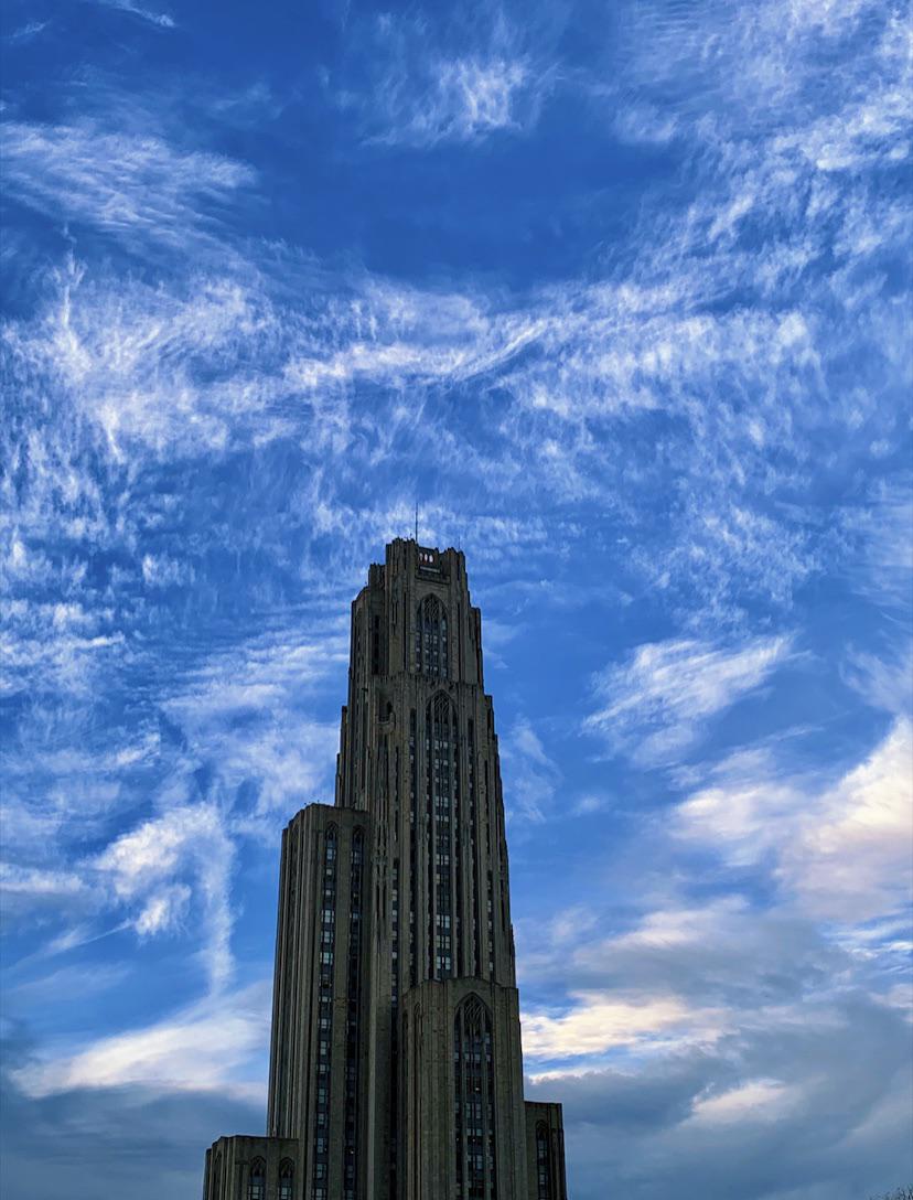 cathy ’) r/Pitt