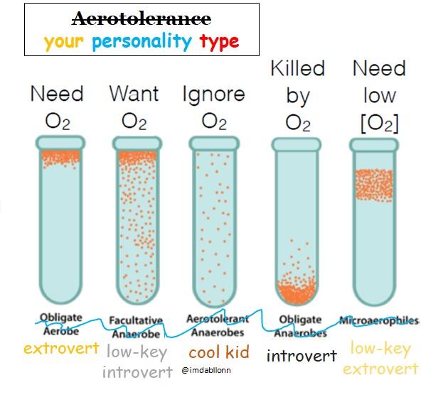 [MEME] im a facultative anaerobe microbiology