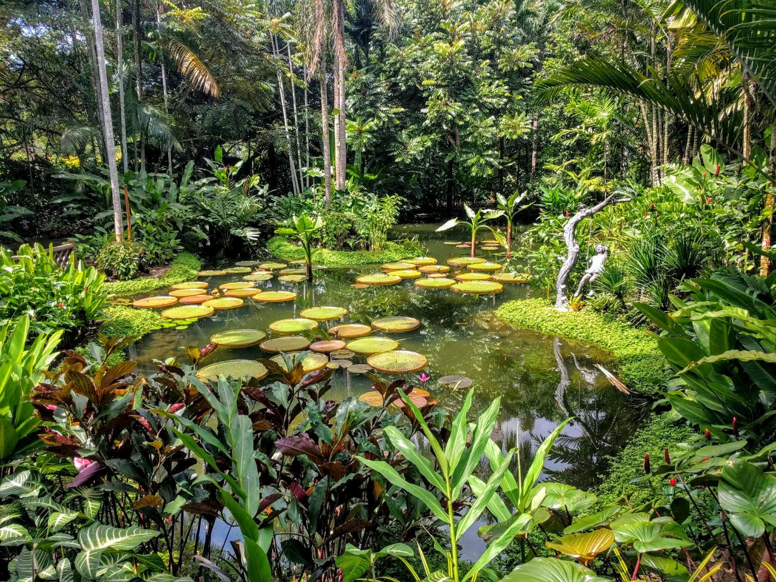 Lily pond, Singapore Botanic Gardens [OC] [1600x1200 1.9MP] r/EarthPorn
