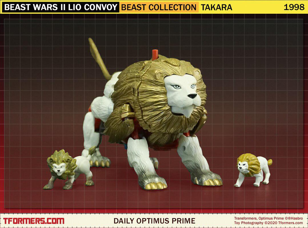 Zoo culture r/thefighterandthekid