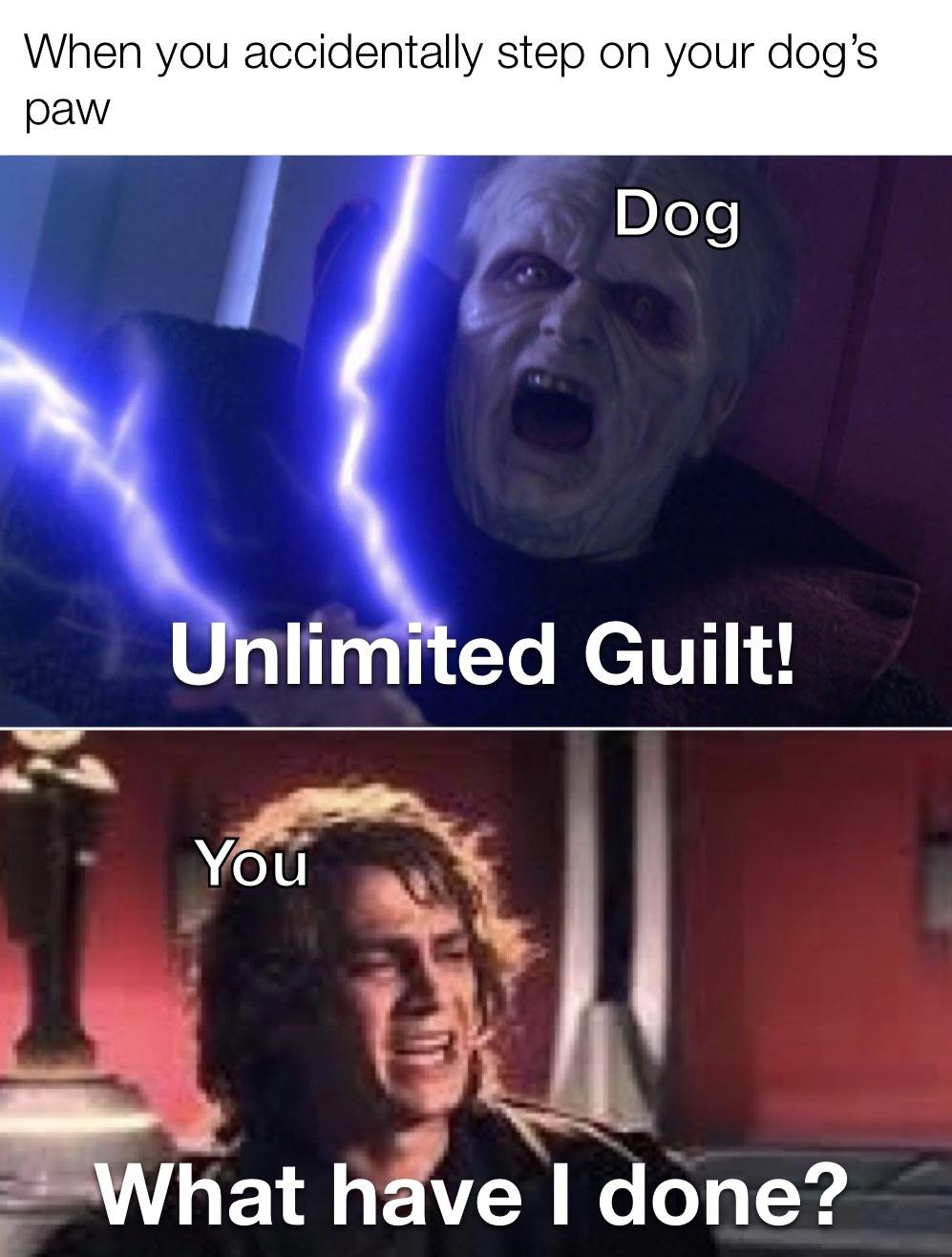 When you accidentally step on your dog’s paw r/memes