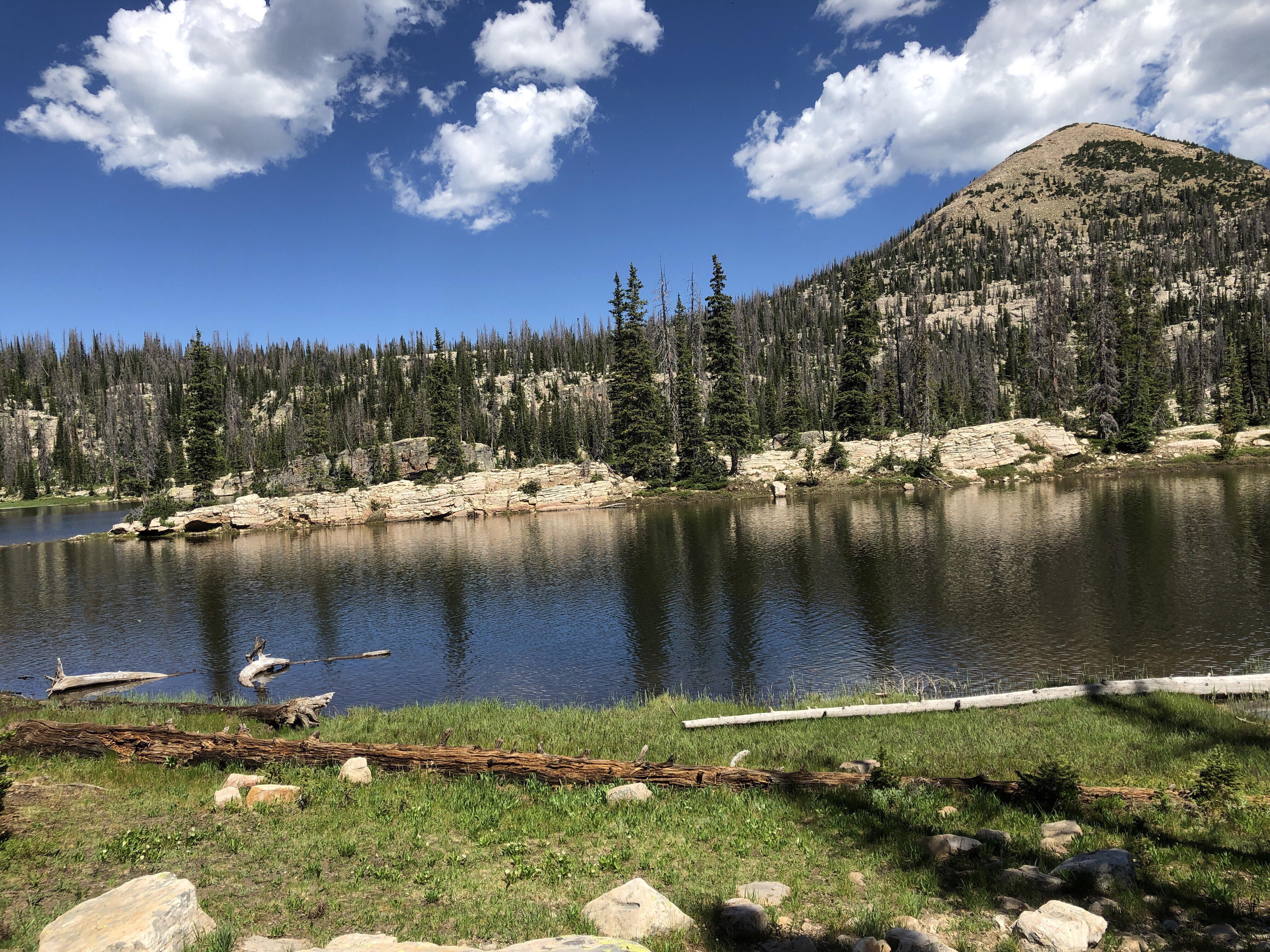 Island Lake Trail near Kamas, Utah just off mirror lake highway. r